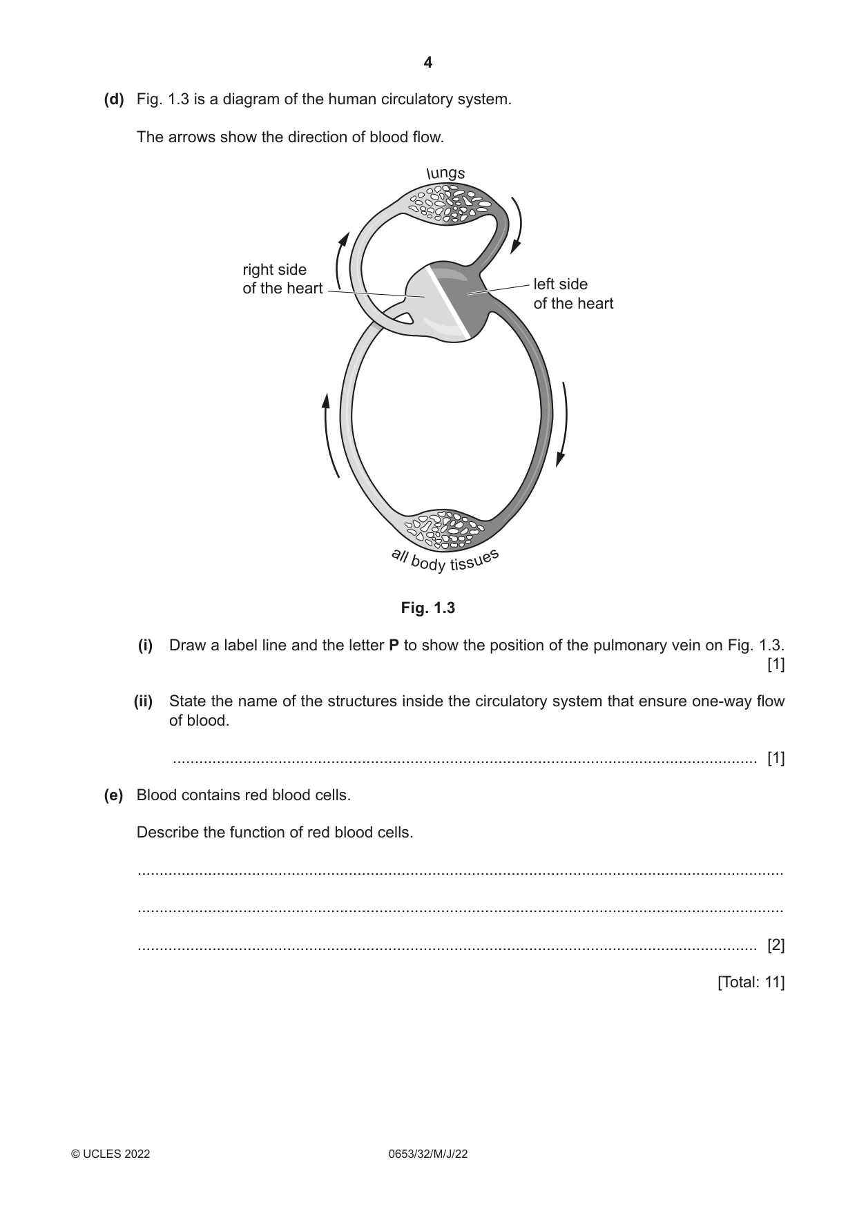 Cambridge IGCSE Science - Combined 0653 2022 May/June Paper 3 · Variant 2 question paper, page 4 of 24