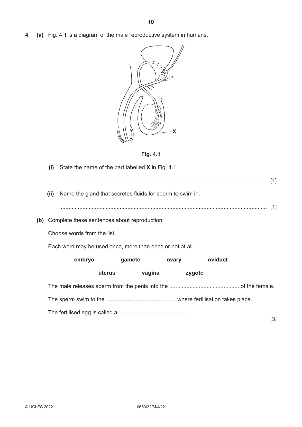 Cambridge IGCSE Science - Combined 0653 2022 May/June Paper 3 · Variant 2 question paper, page 10 of 24