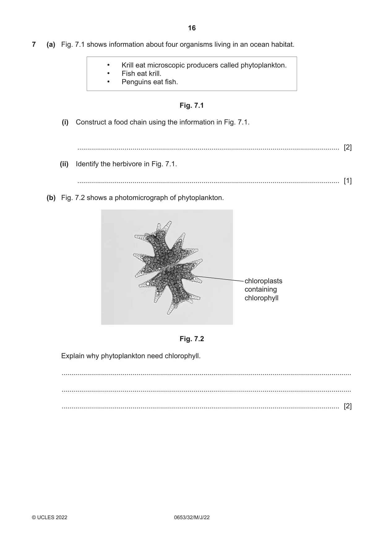 Cambridge IGCSE Science - Combined 0653 2022 May/June Paper 3 · Variant 2 question paper, page 16 of 24
