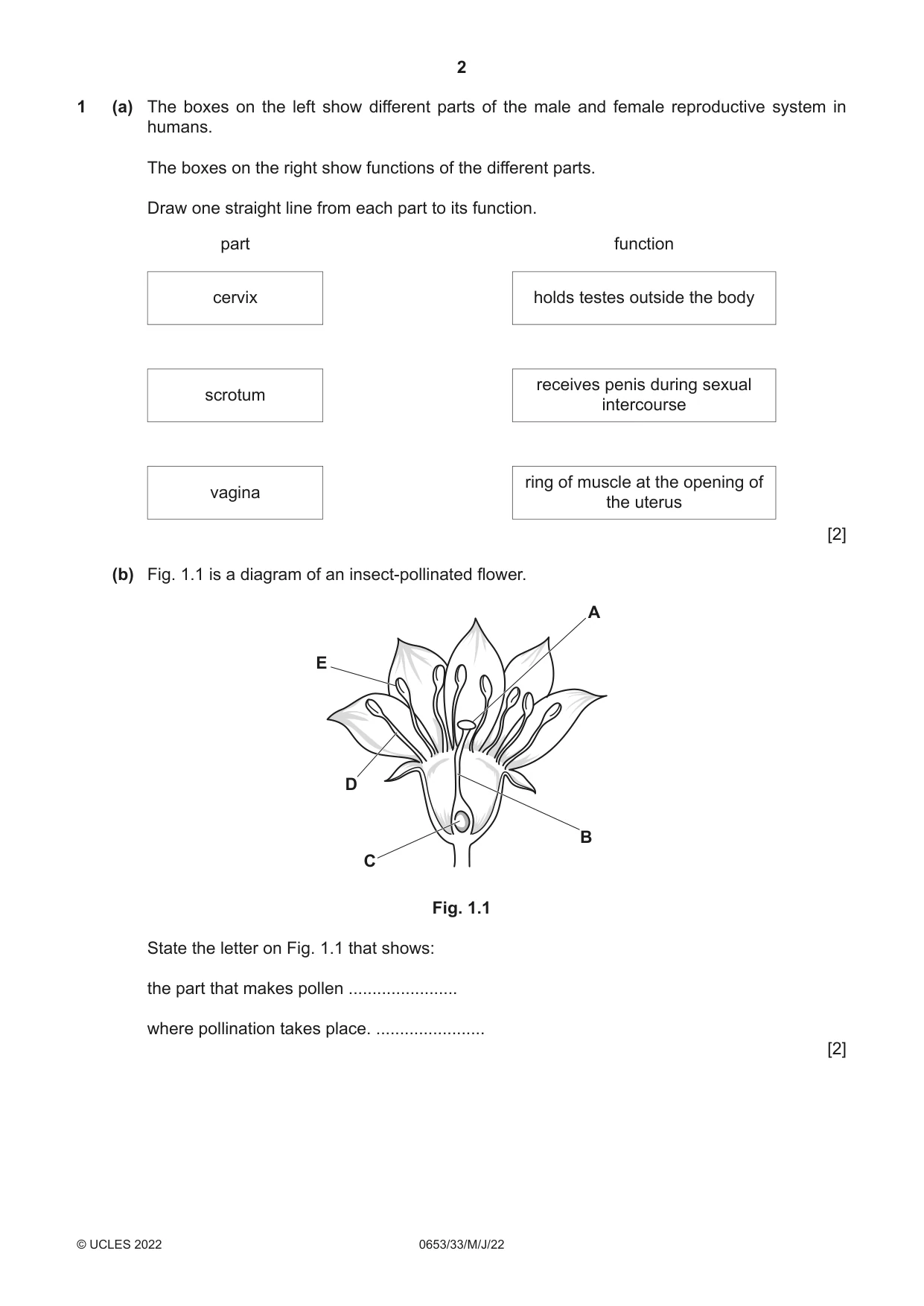 Cambridge IGCSE Science - Combined 0653 2022 May/June Paper 3 · Variant 3 question paper, page 2 of 20