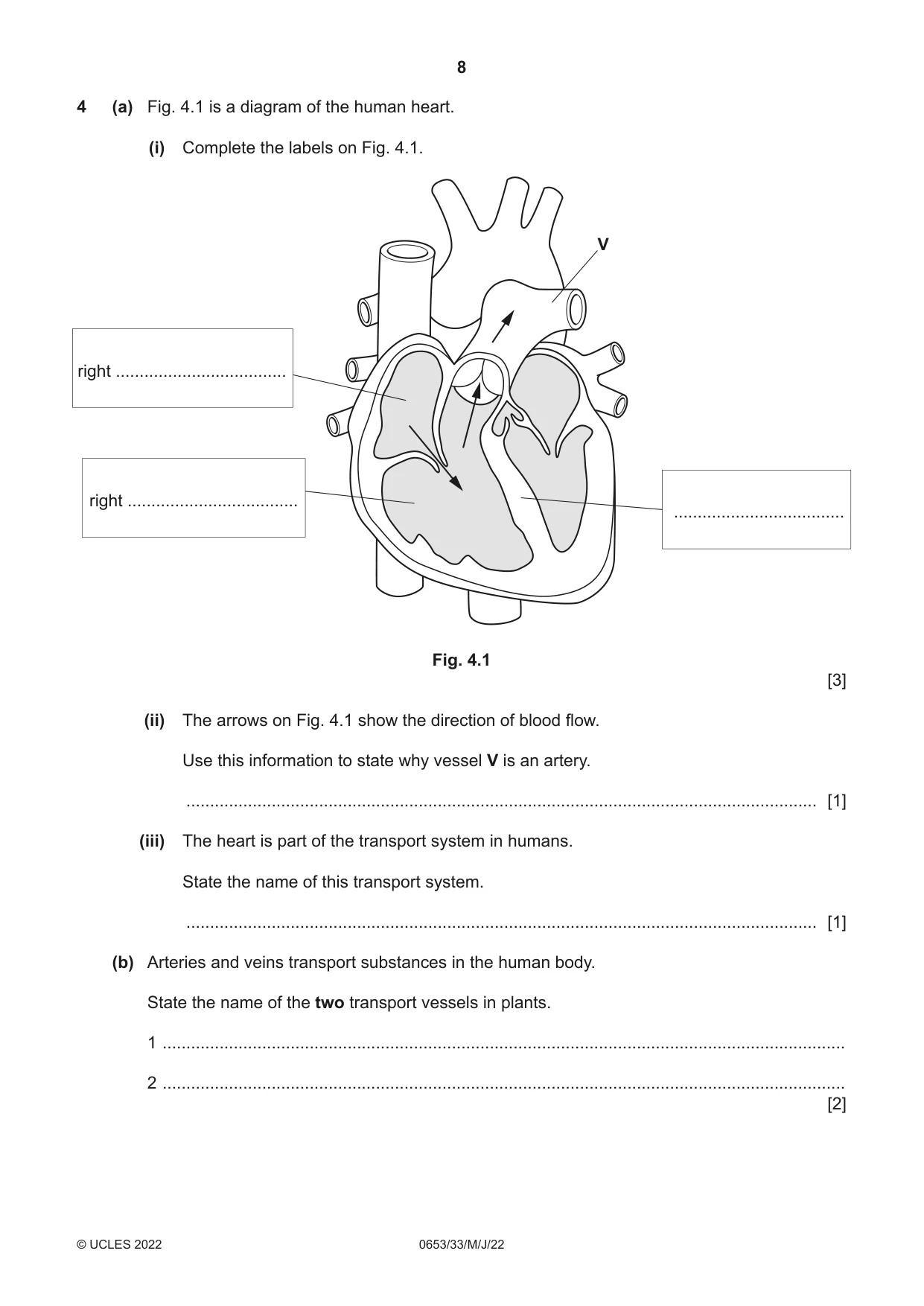 Cambridge IGCSE Science - Combined 0653 2022 May/June Paper 3 · Variant 3 question paper, page 8 of 20