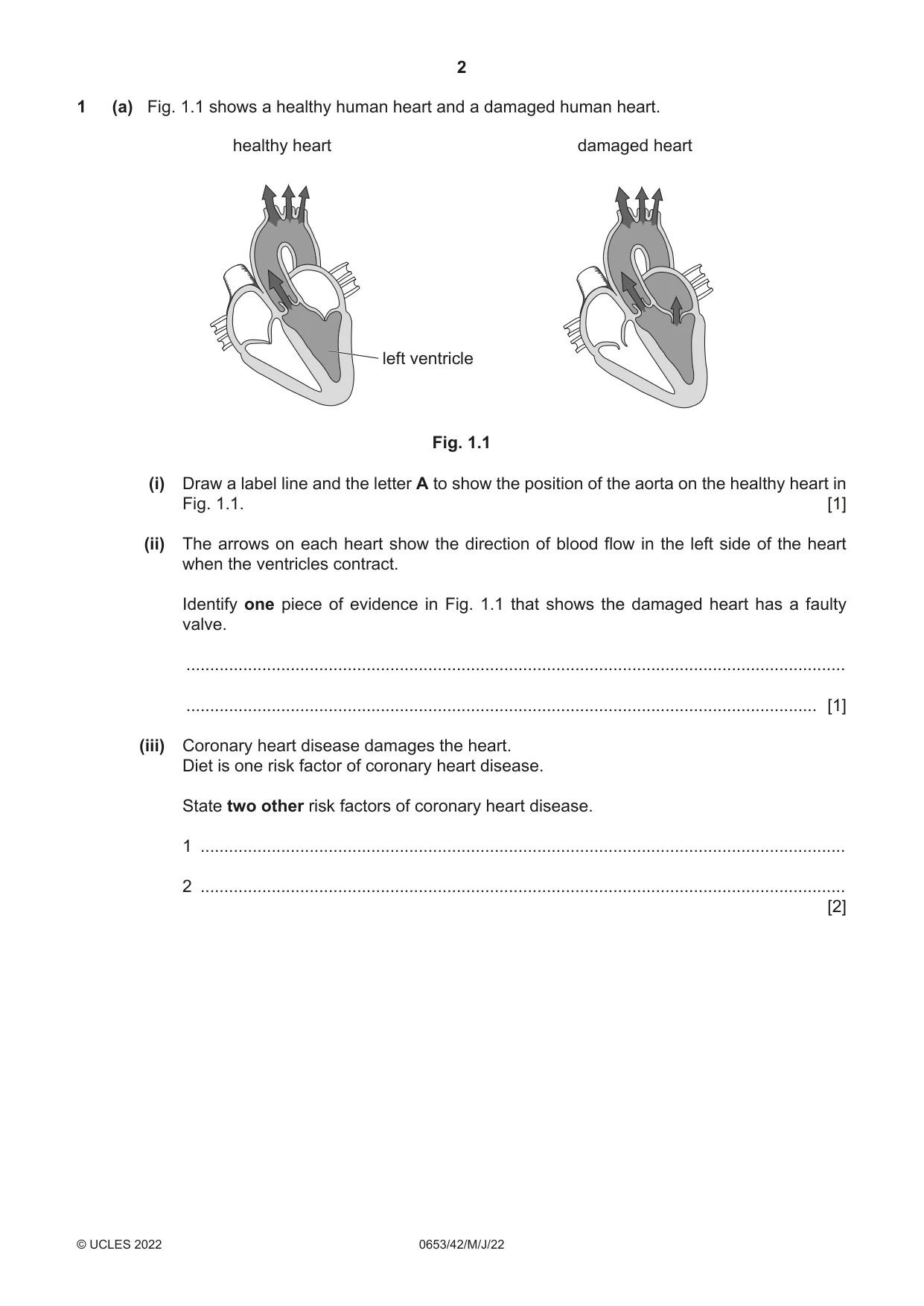 Cambridge IGCSE Science - Combined 0653 2022 May/June Paper 4 · Variant 2 question paper, page 2 of 20