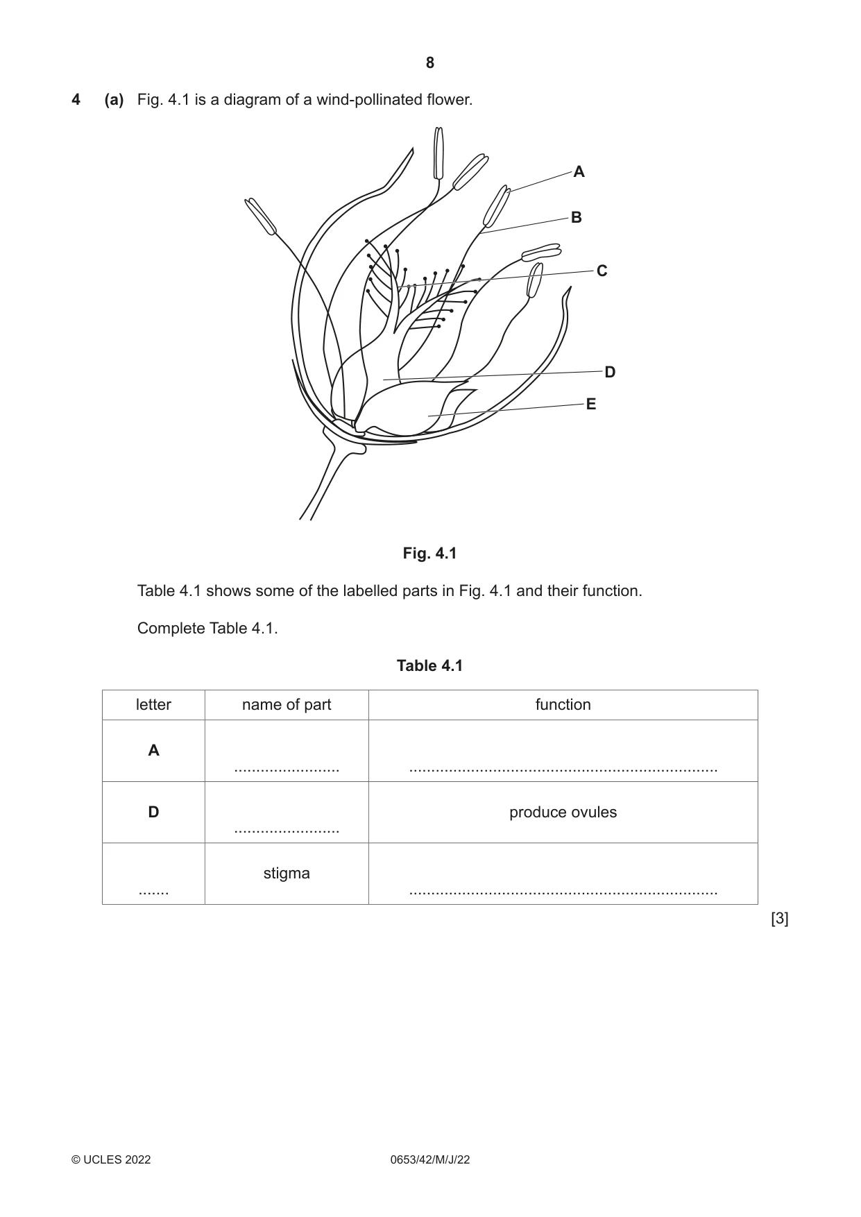 Cambridge IGCSE Science - Combined 0653 2022 May/June Paper 4 · Variant 2 question paper, page 8 of 20
