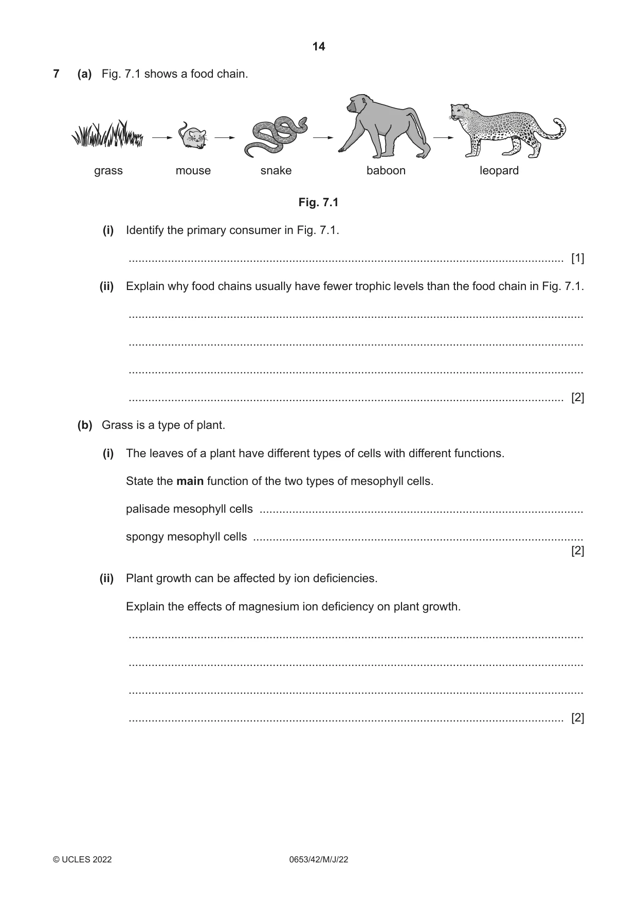 Cambridge IGCSE Science - Combined 0653 2022 May/June Paper 4 · Variant 2 question paper, page 14 of 20