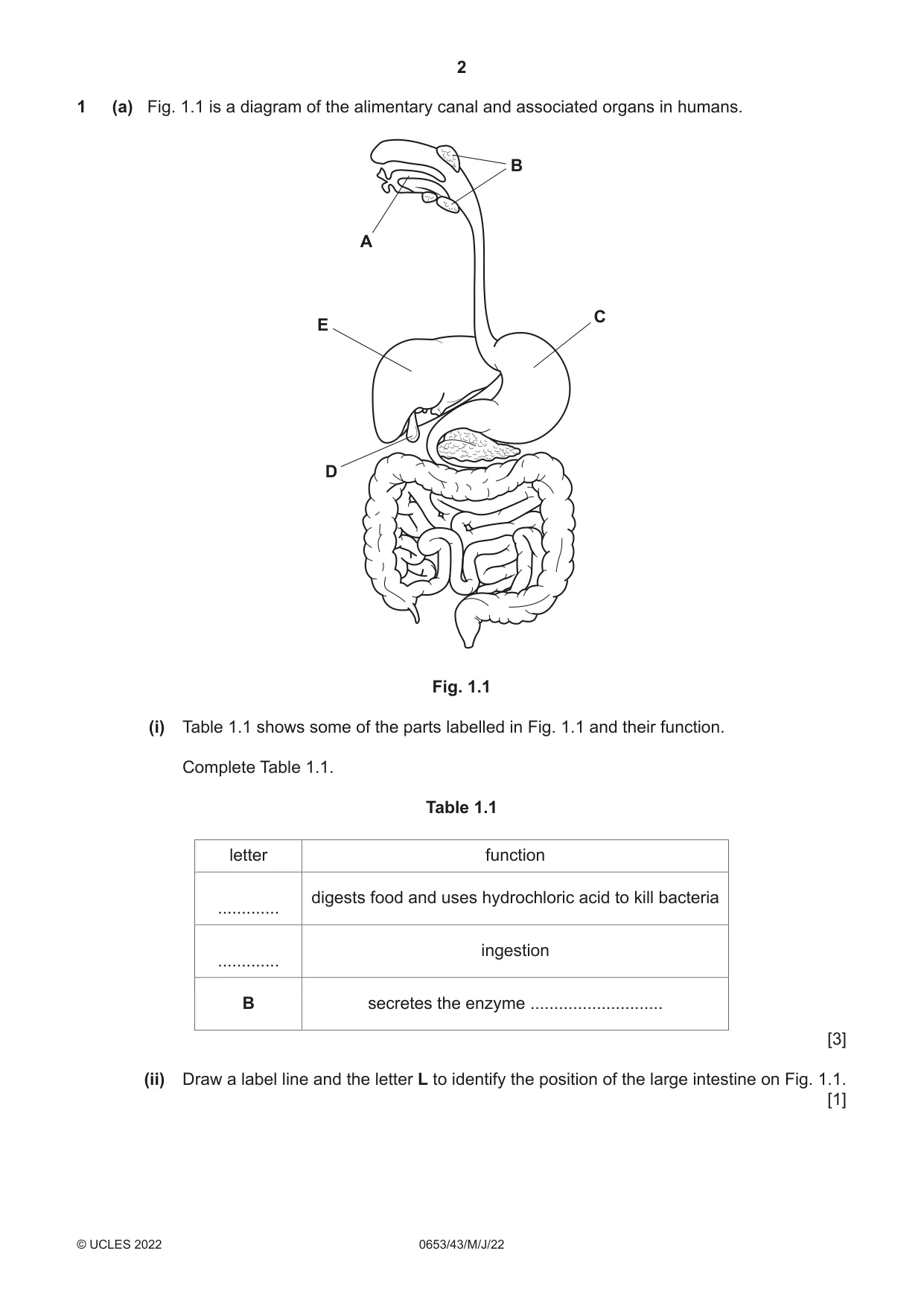 Cambridge IGCSE Science - Combined 0653 2022 May/June Paper 4 · Variant 3 question paper, page 2 of 24