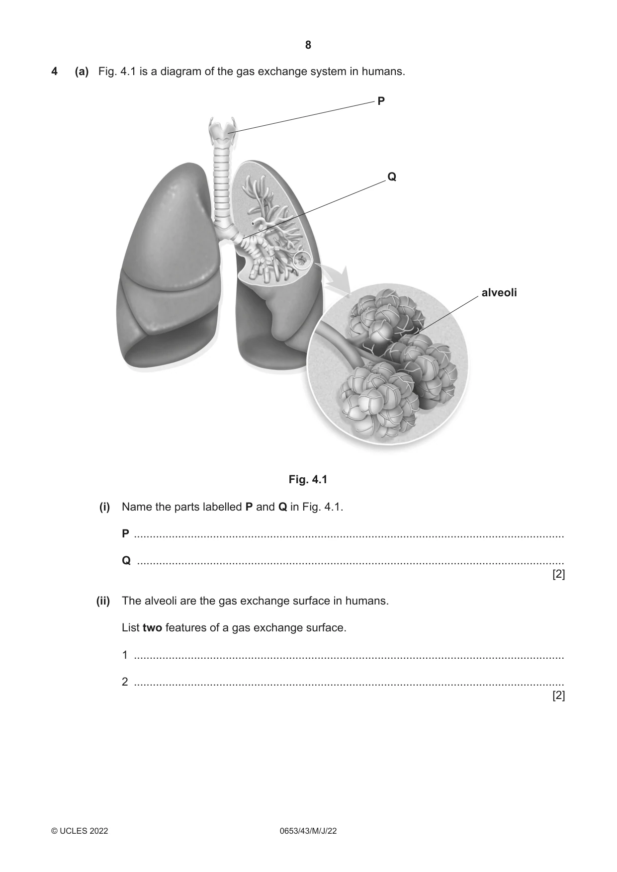 Cambridge IGCSE Science - Combined 0653 2022 May/June Paper 4 · Variant 3 question paper, page 8 of 24