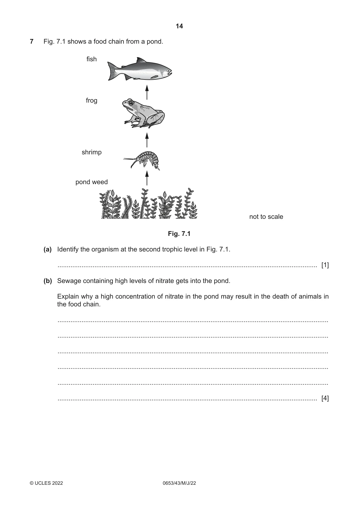 Cambridge IGCSE Science - Combined 0653 2022 May/June Paper 4 · Variant 3 question paper, page 14 of 24