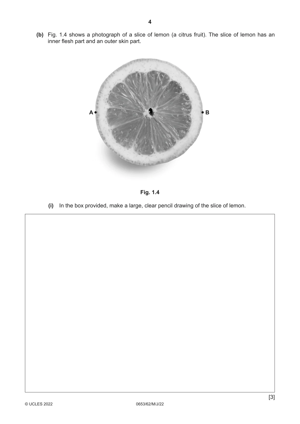 Cambridge IGCSE Science - Combined 0653 2022 May/June Paper 6 · Variant 2 question paper, page 4 of 16