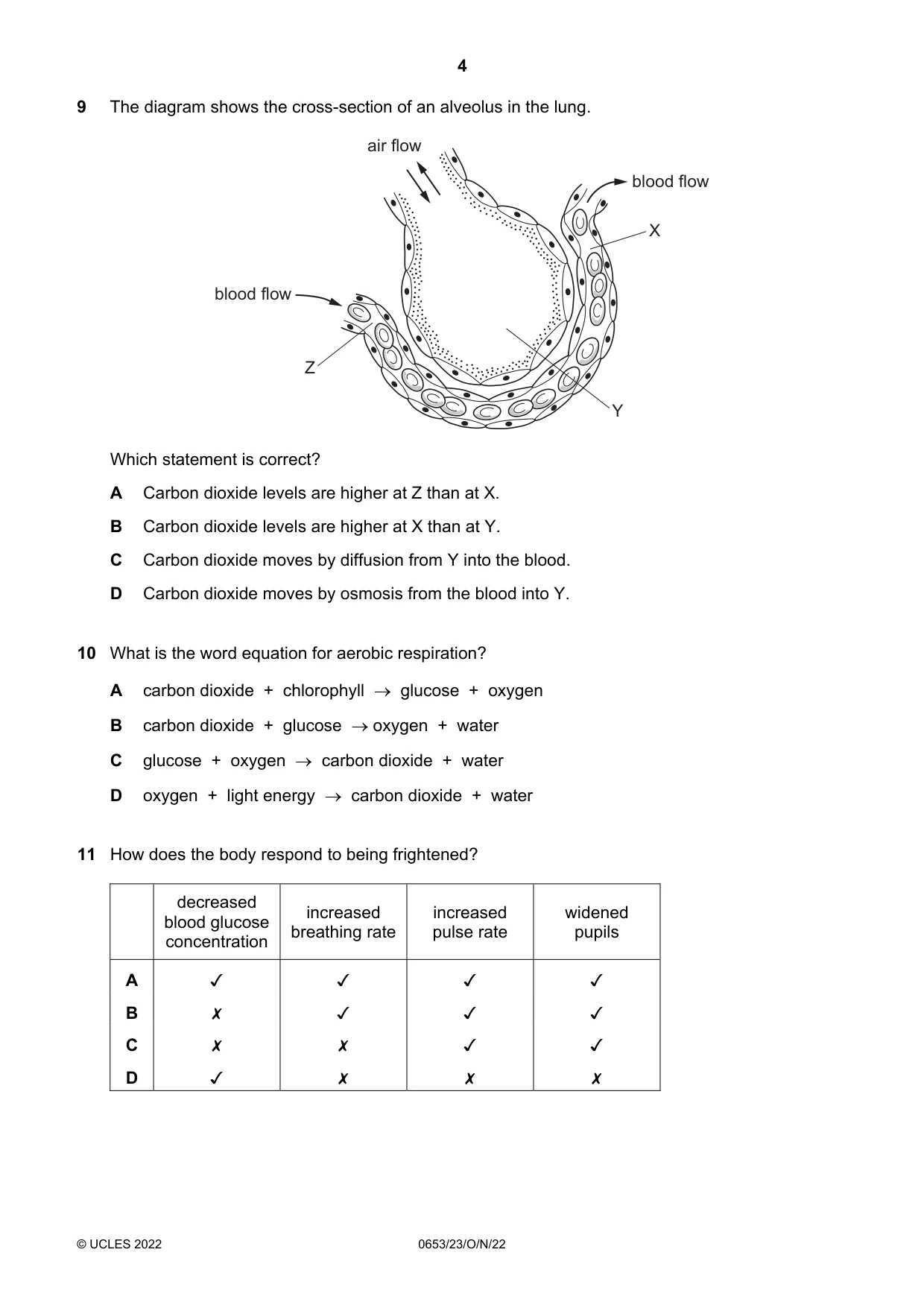 Cambridge IGCSE Science - Combined 0653 2022 Oct/Nov Paper 2 · Variant 3 question paper, page 4 of 16