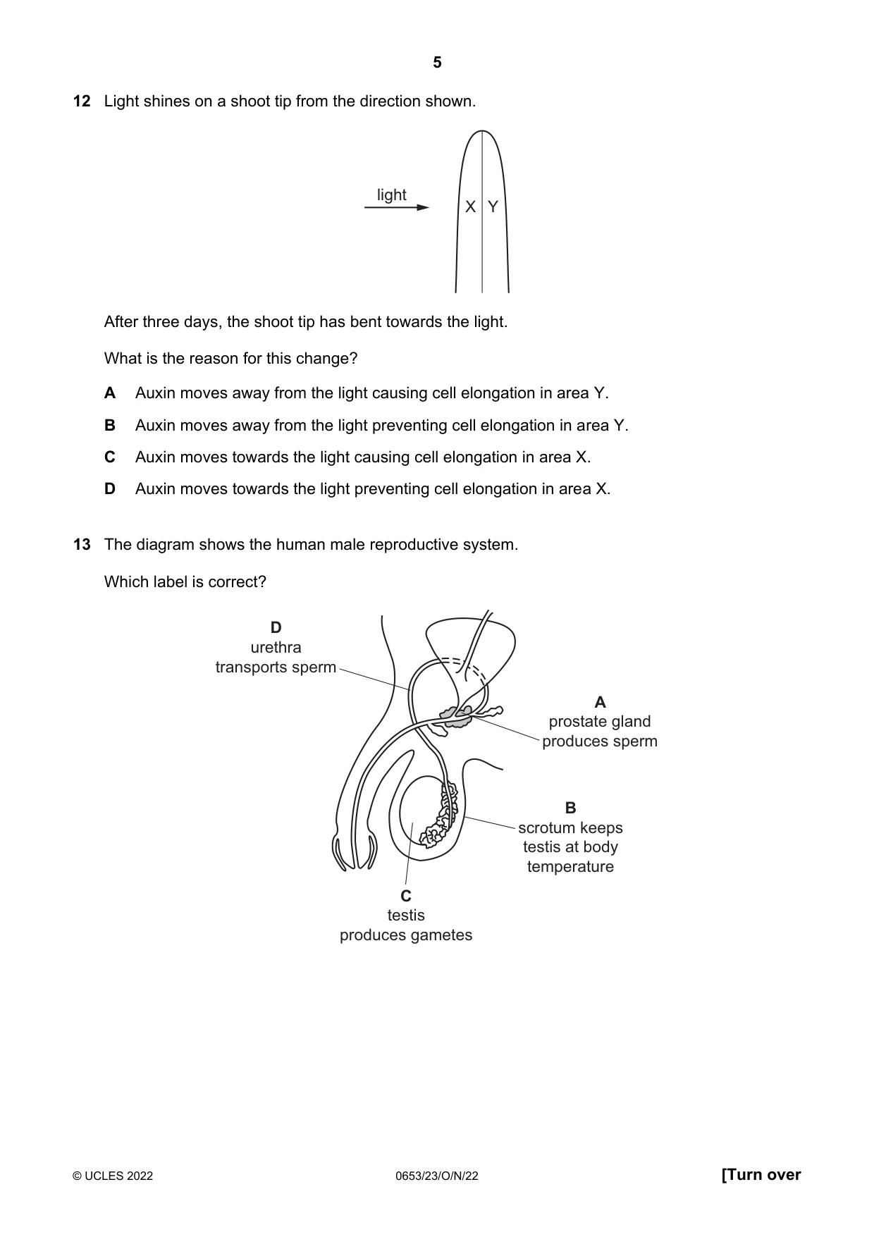 Cambridge IGCSE Science - Combined 0653 2022 Oct/Nov Paper 2 · Variant 3 question paper, page 5 of 16
