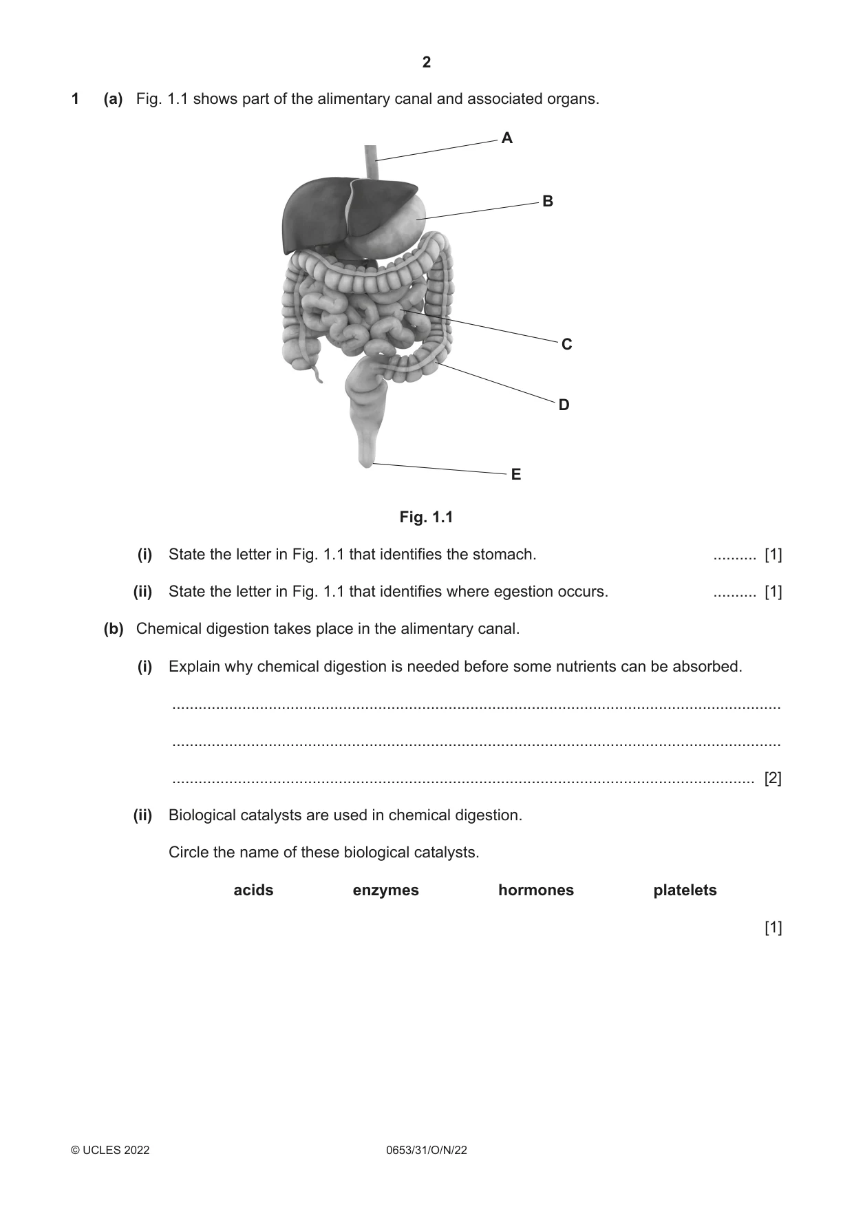 Cambridge IGCSE Science - Combined 0653 2022 Oct/Nov Paper 3 · Variant 1 question paper, page 2 of 24