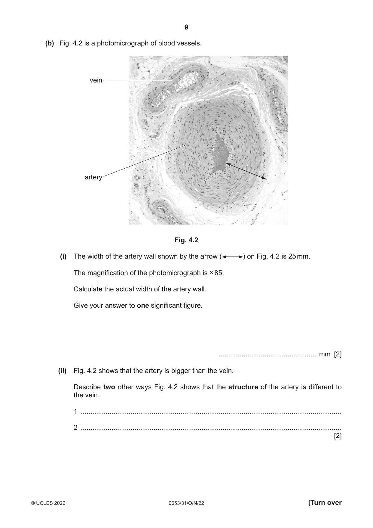 Cambridge IGCSE Science - Combined 0653 2022 Oct/Nov Paper 3 · Variant 1 question paper, page 9 of 24