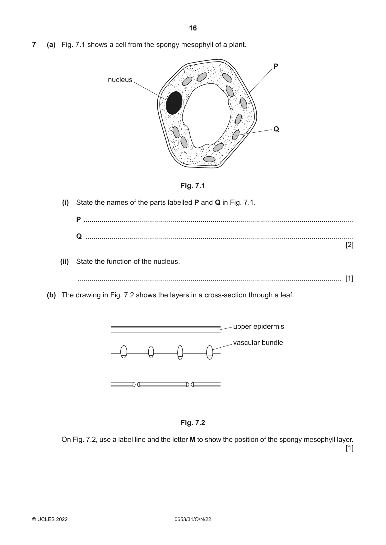Cambridge IGCSE Science - Combined 0653 2022 Oct/Nov Paper 3 · Variant 1 question paper, page 16 of 24