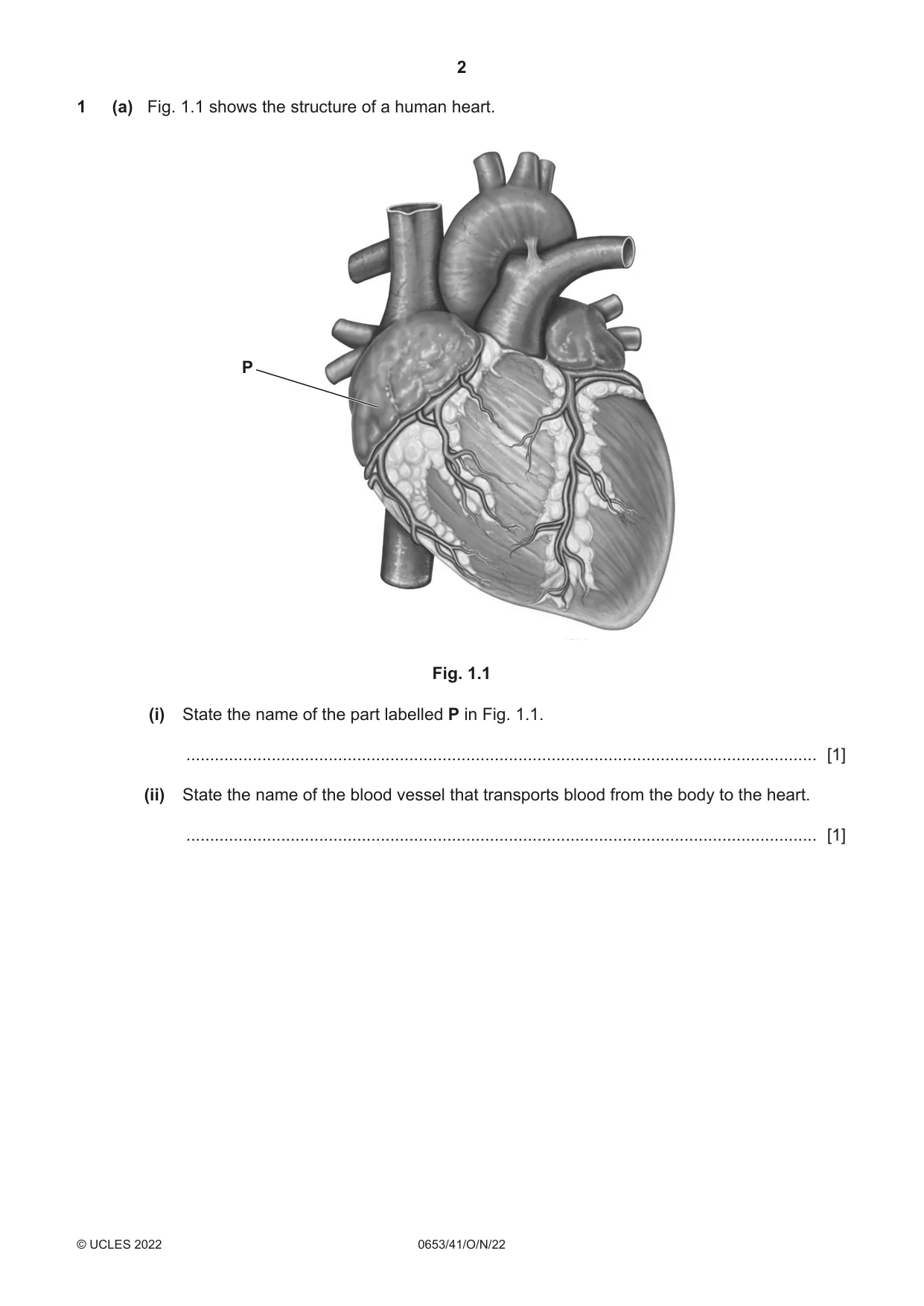 Cambridge IGCSE Science - Combined 0653 2022 Oct/Nov Paper 4 · Variant 1 question paper, page 2 of 24