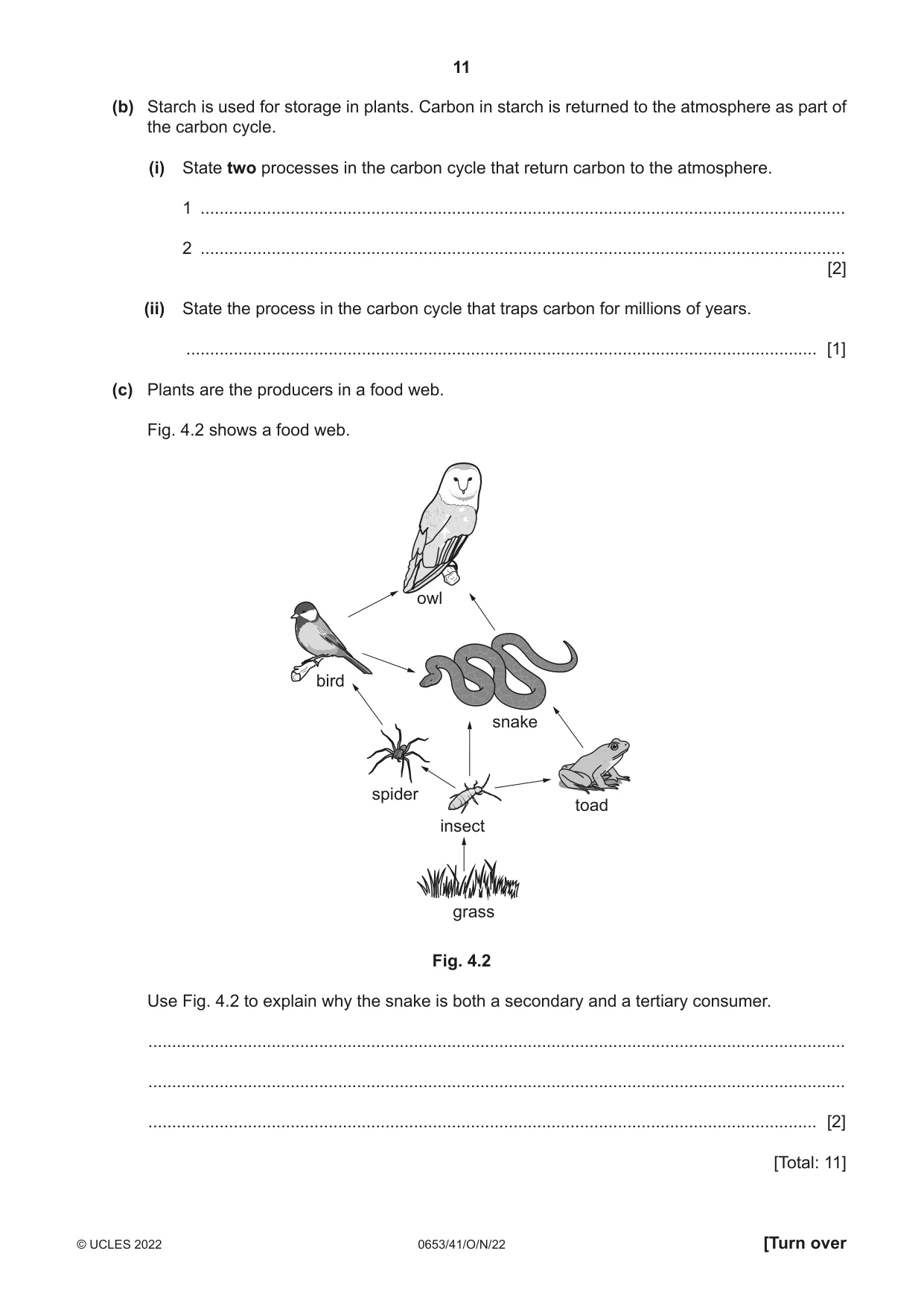 Cambridge IGCSE Science - Combined 0653 2022 Oct/Nov Paper 4 · Variant 1 question paper, page 11 of 24