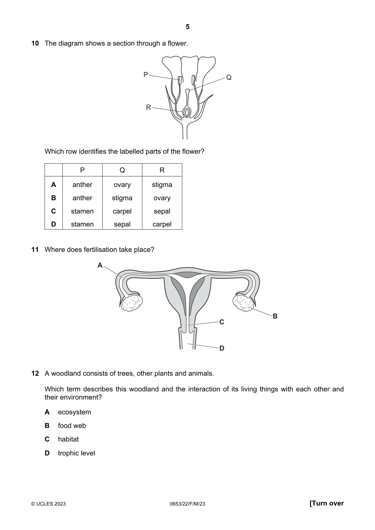 Cambridge IGCSE Science - Combined 0653 2023 Feb/March Paper 2 · Variant 2 question paper, page 5 of 16