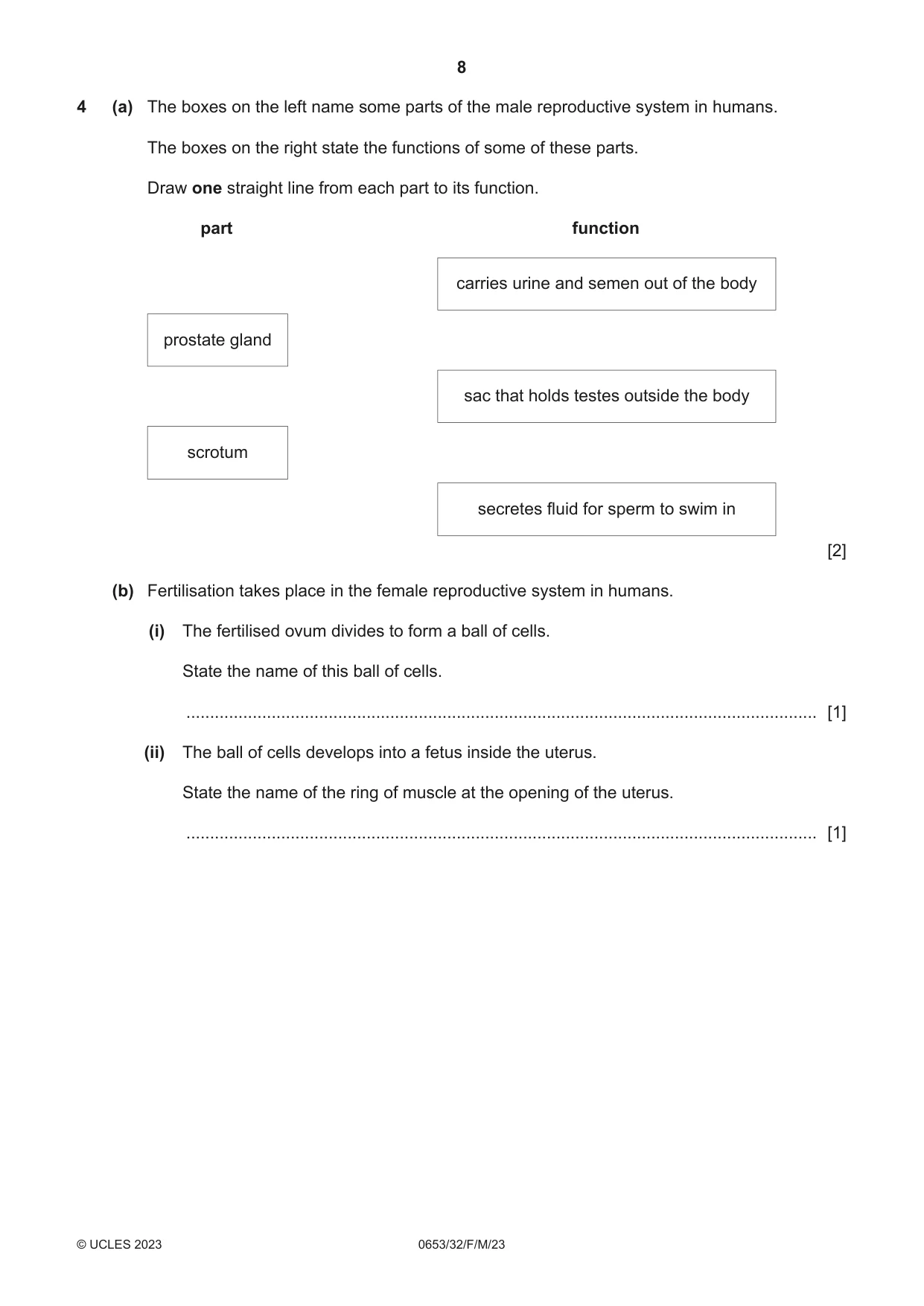 Cambridge IGCSE Science - Combined 0653 2023 Feb/March Paper 3 · Variant 2 question paper, page 8 of 20