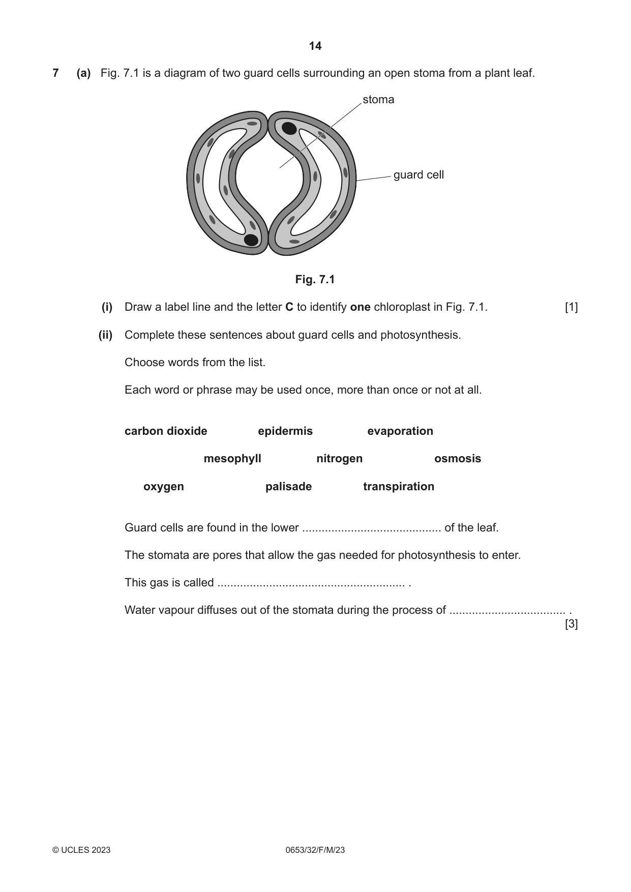 Cambridge IGCSE Science - Combined 0653 2023 Feb/March Paper 3 · Variant 2 question paper, page 14 of 20