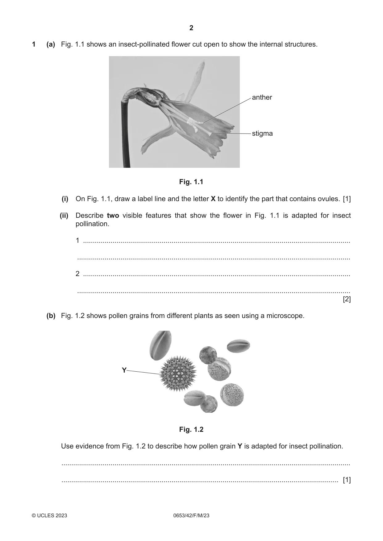Cambridge IGCSE Science - Combined 0653 2023 Feb/March Paper 4 · Variant 2 question paper, page 2 of 20