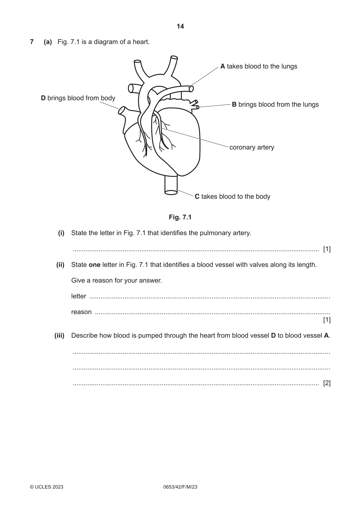 Cambridge IGCSE Science - Combined 0653 2023 Feb/March Paper 4 · Variant 2 question paper, page 14 of 20