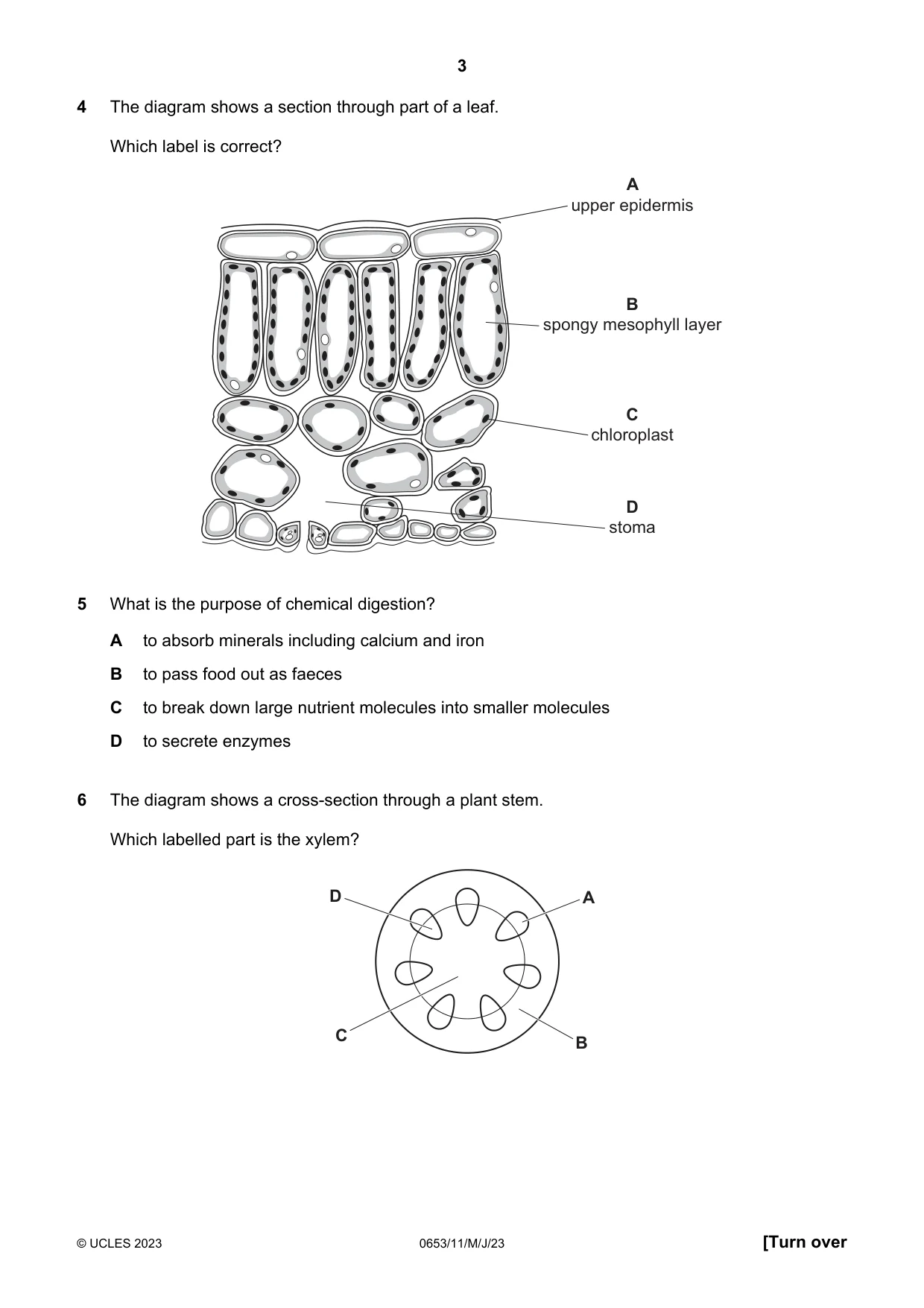 Cambridge IGCSE Science - Combined 0653 2023 May/June Paper 1 · Variant 1 question paper, page 3 of 16
