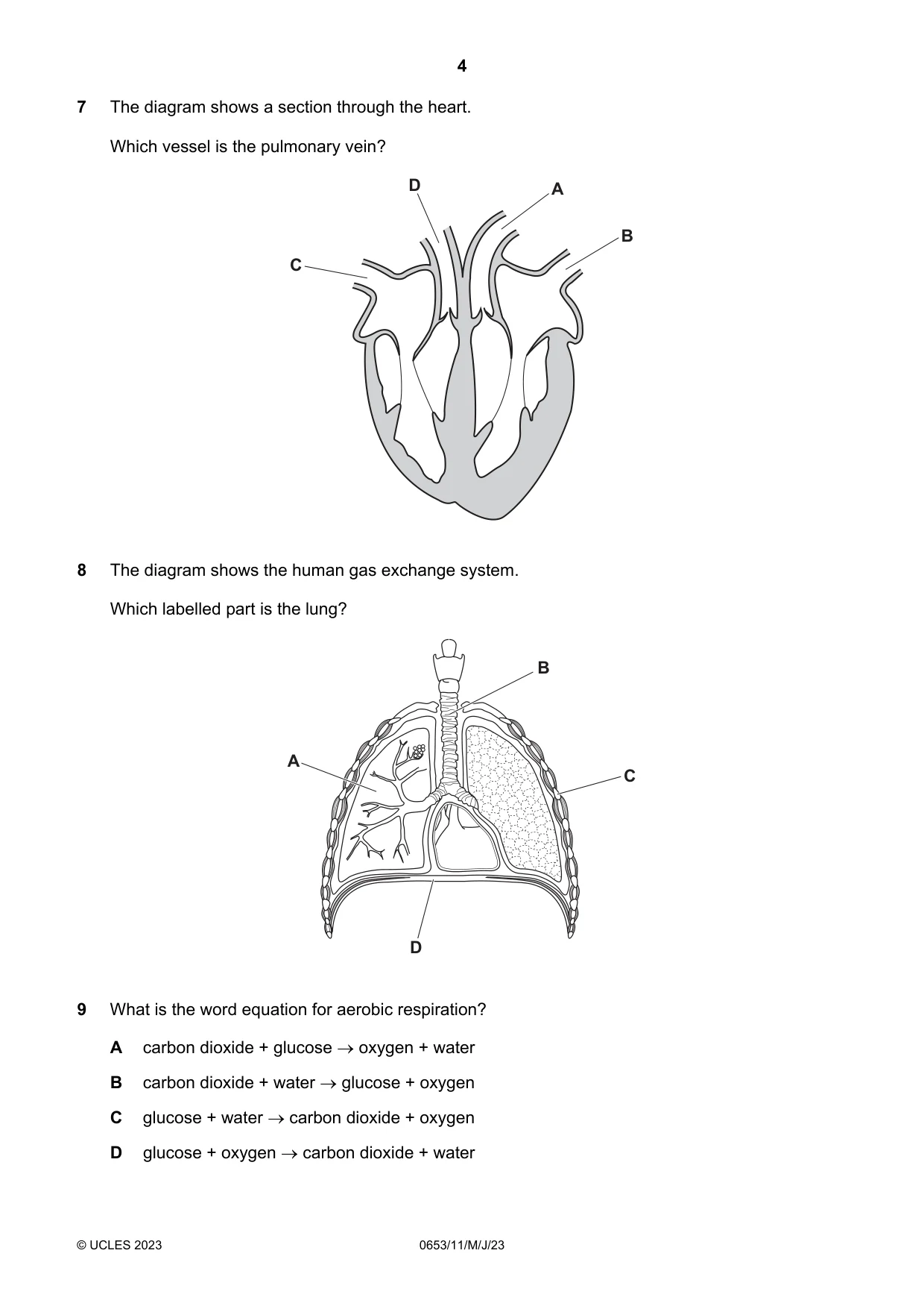 Cambridge IGCSE Science - Combined 0653 2023 May/June Paper 1 · Variant 1 question paper, page 4 of 16