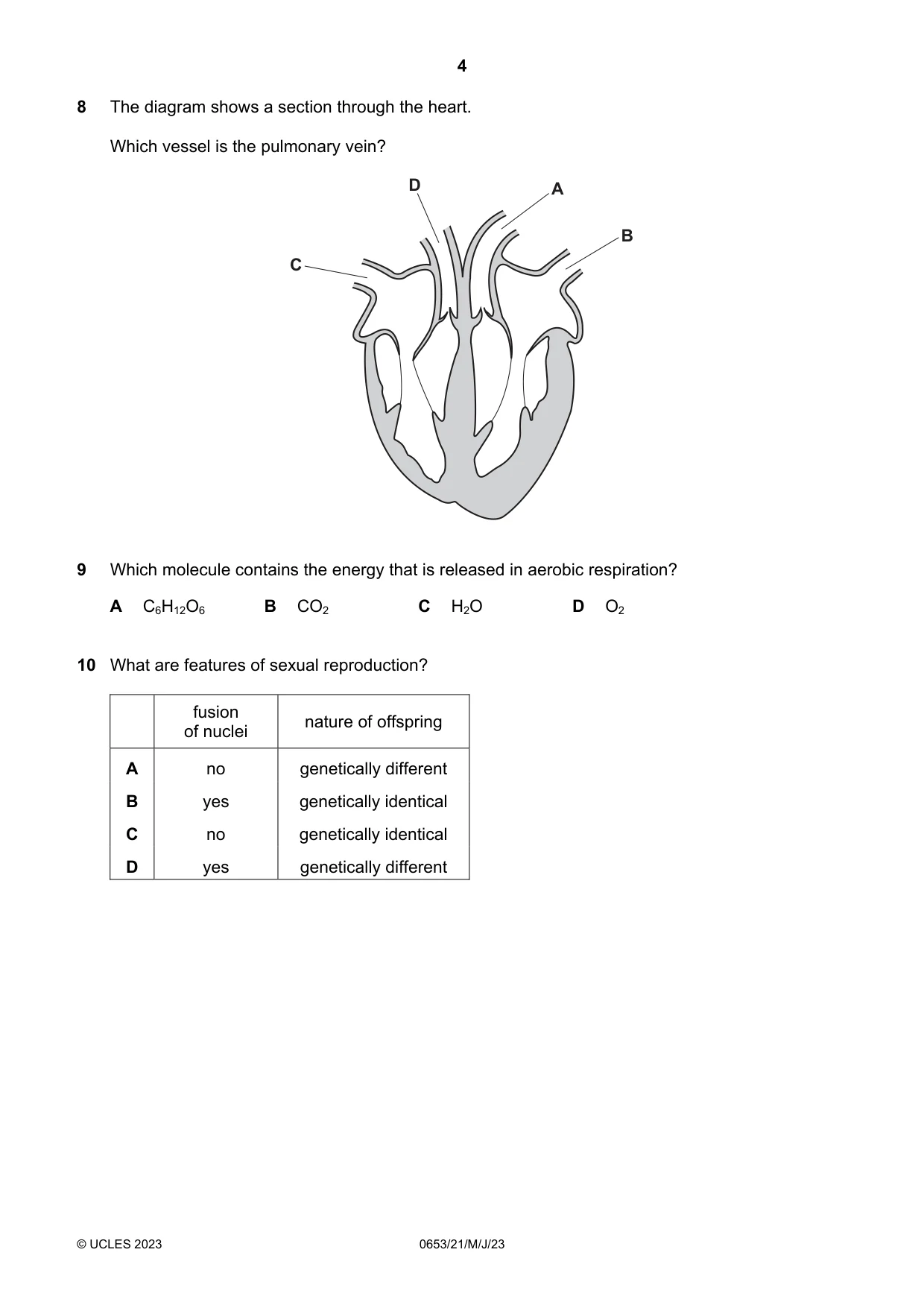 Cambridge IGCSE Science - Combined 0653 2023 May/June Paper 2 · Variant 1 question paper, page 4 of 16