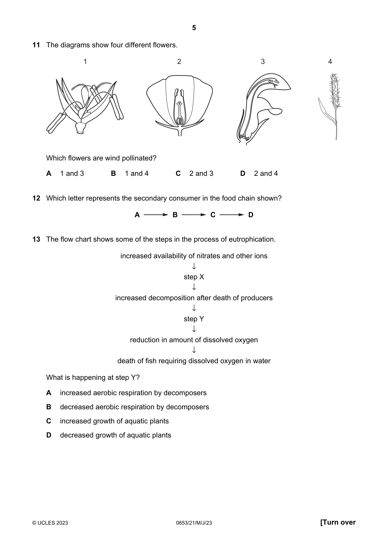 Cambridge IGCSE Science - Combined 0653 2023 May/June Paper 2 · Variant 1 question paper, page 5 of 16