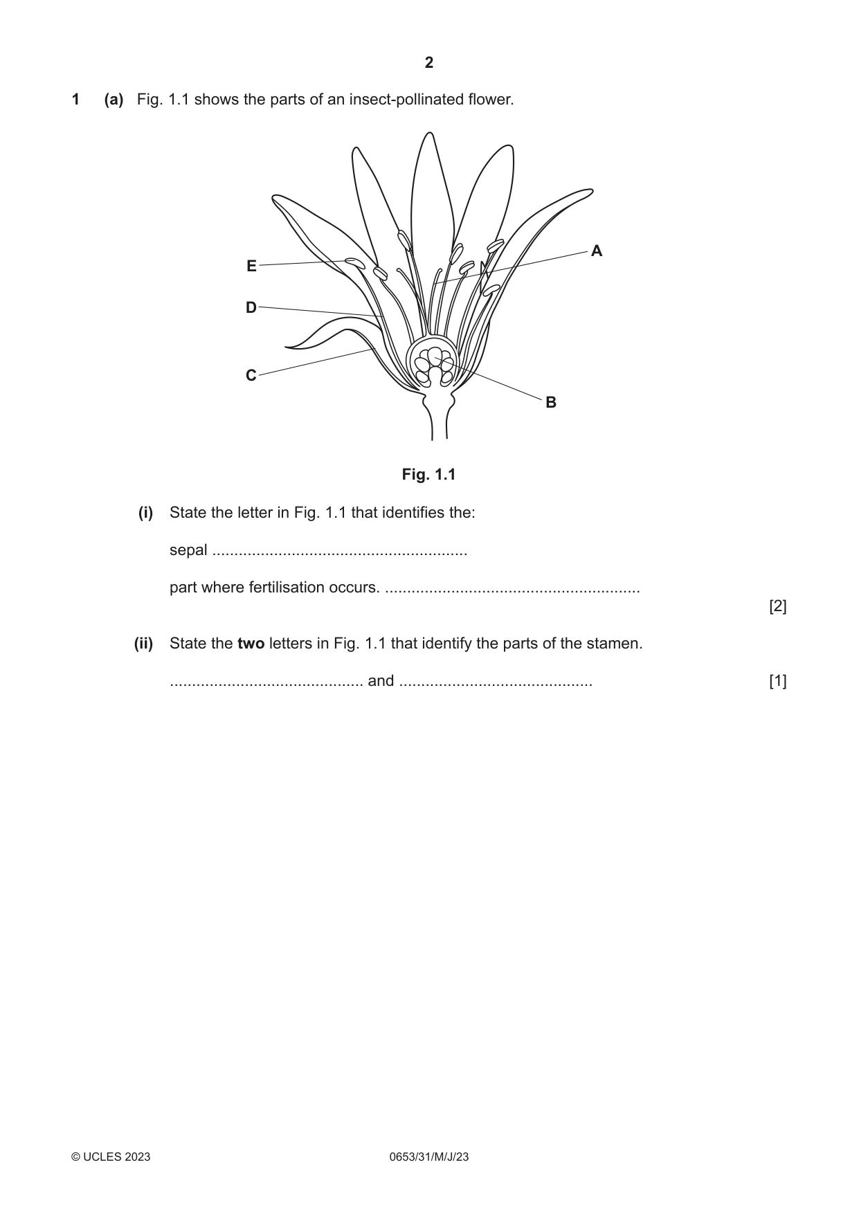 Cambridge IGCSE Science - Combined 0653 2023 May/June Paper 3 · Variant 1 question paper, page 2 of 20