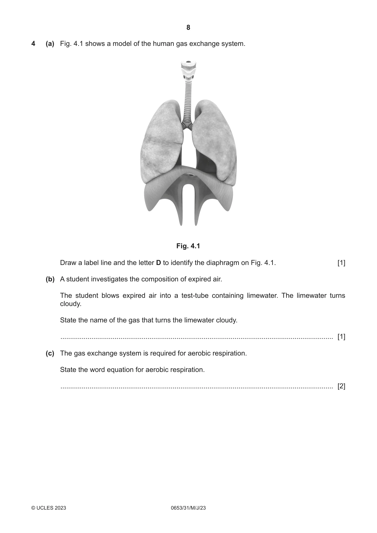Cambridge IGCSE Science - Combined 0653 2023 May/June Paper 3 · Variant 1 question paper, page 8 of 20