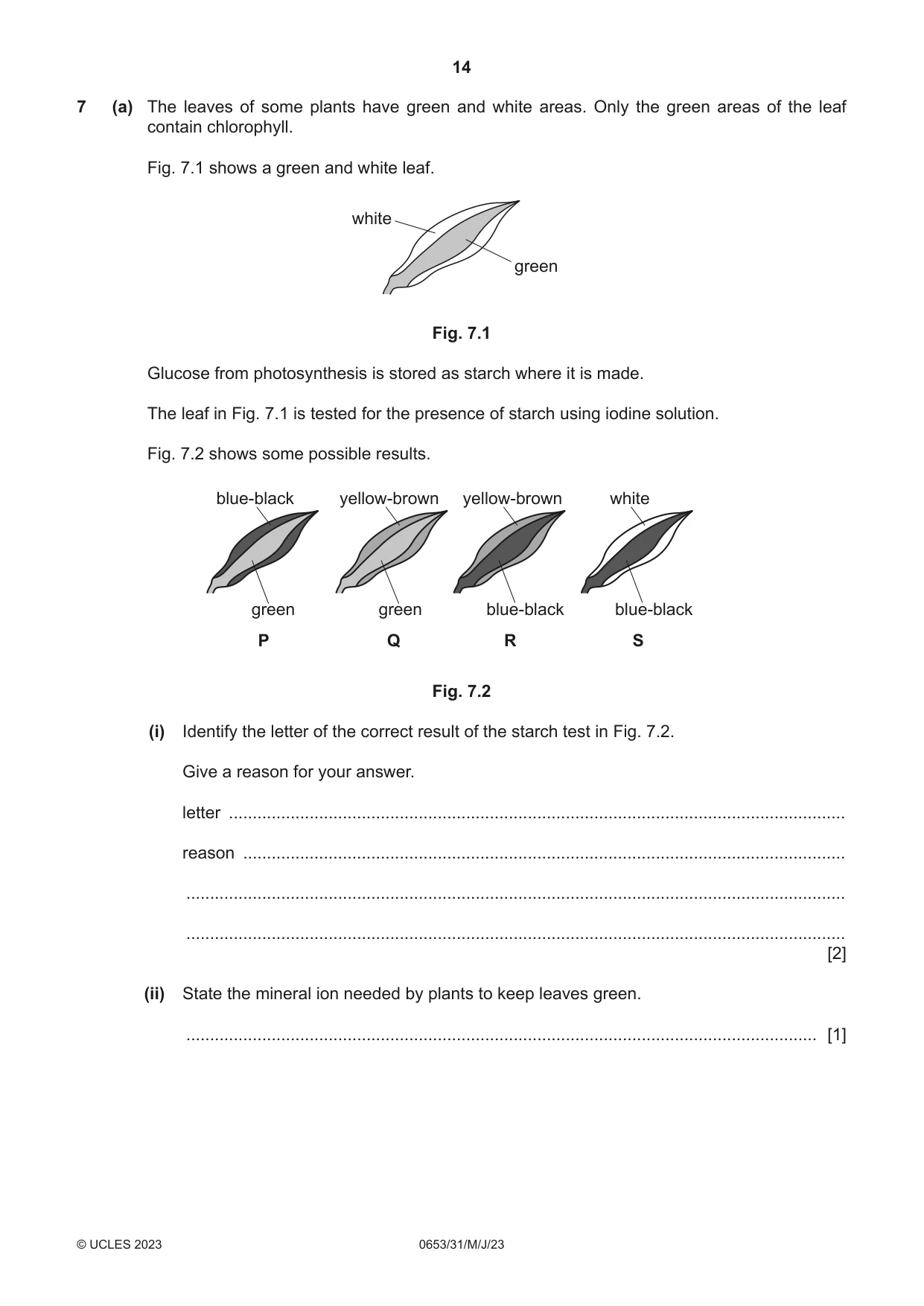 Cambridge IGCSE Science - Combined 0653 2023 May/June Paper 3 · Variant 1 question paper, page 14 of 20