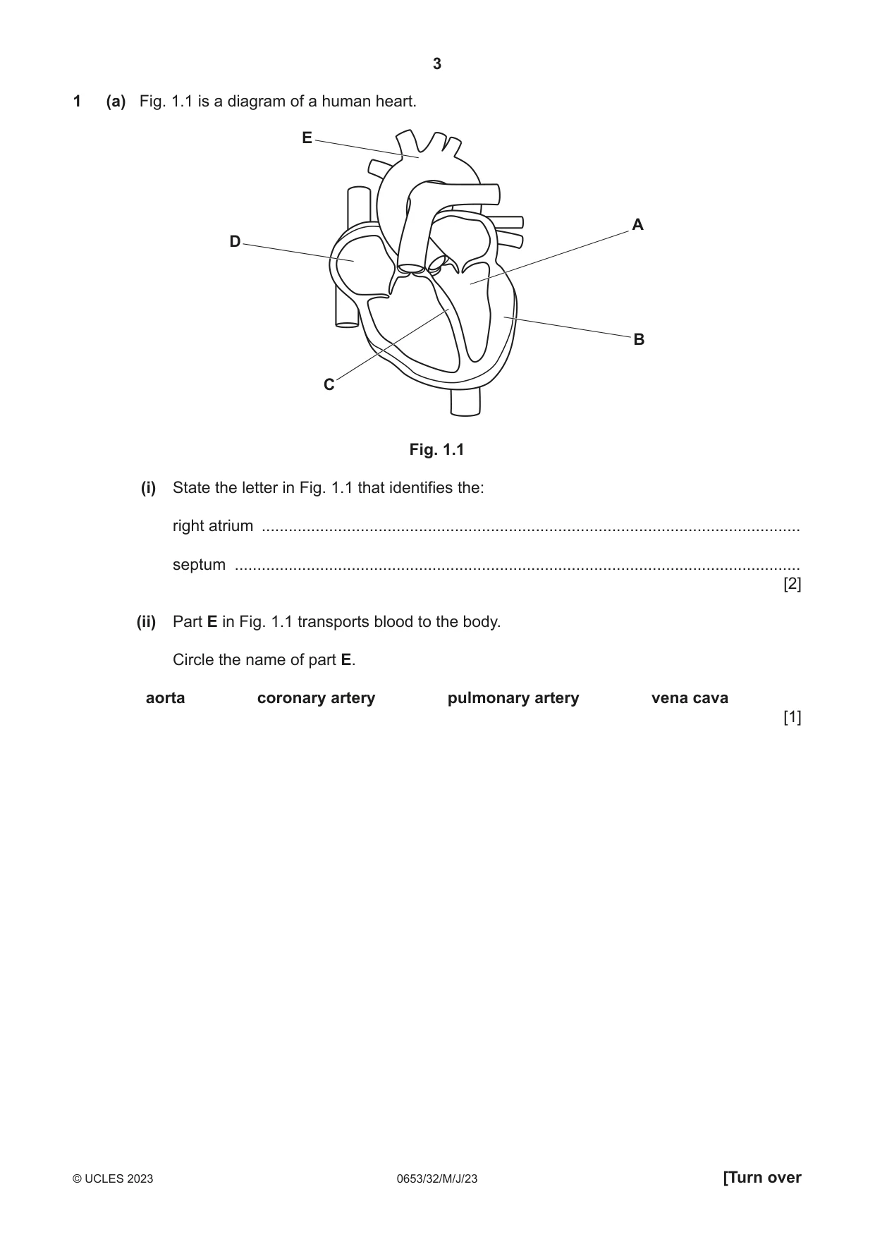 Cambridge IGCSE Science - Combined 0653 2023 May/June Paper 3 · Variant 2 question paper, page 3 of 24
