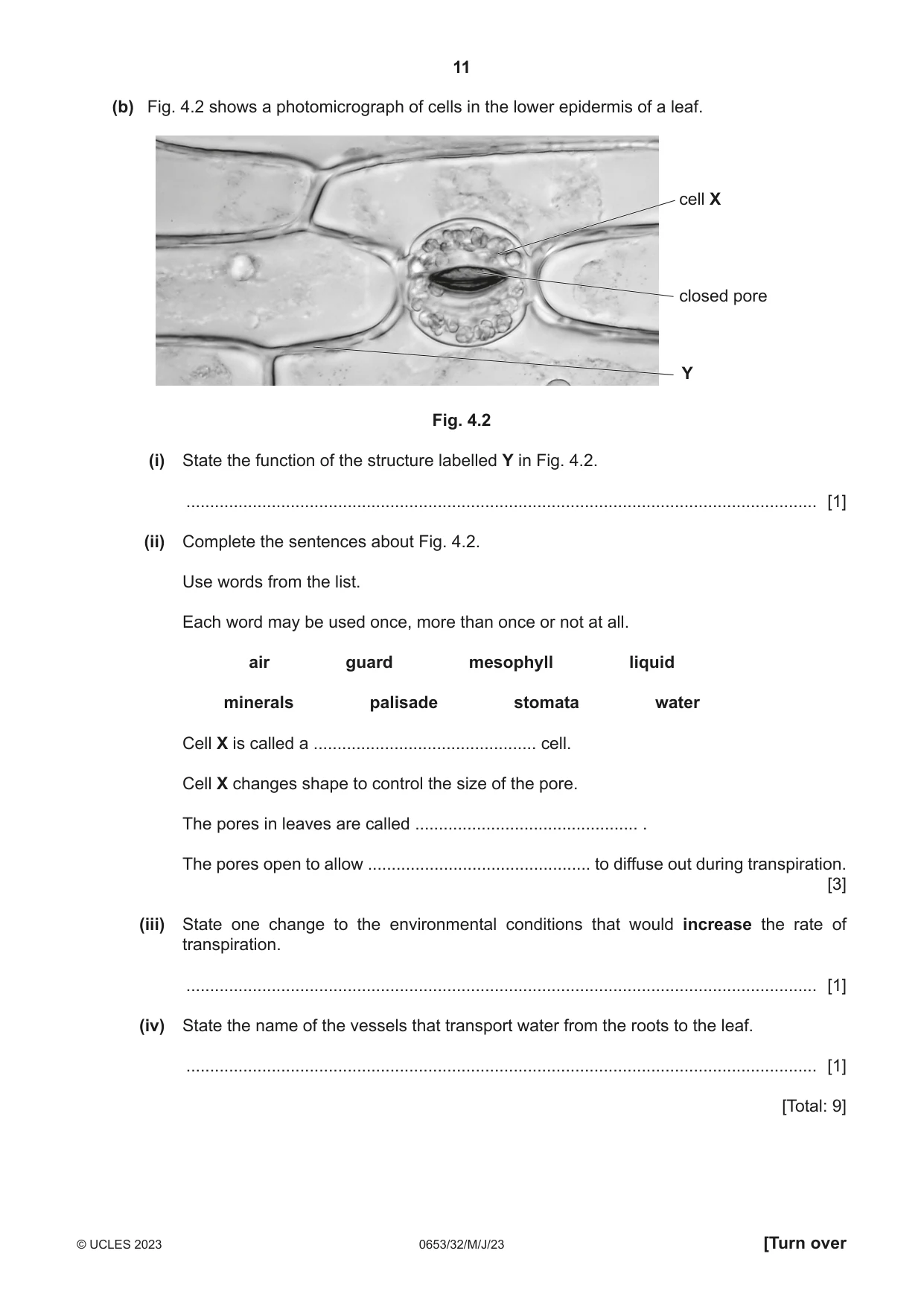 Cambridge IGCSE Science - Combined 0653 2023 May/June Paper 3 · Variant 2 question paper, page 11 of 24