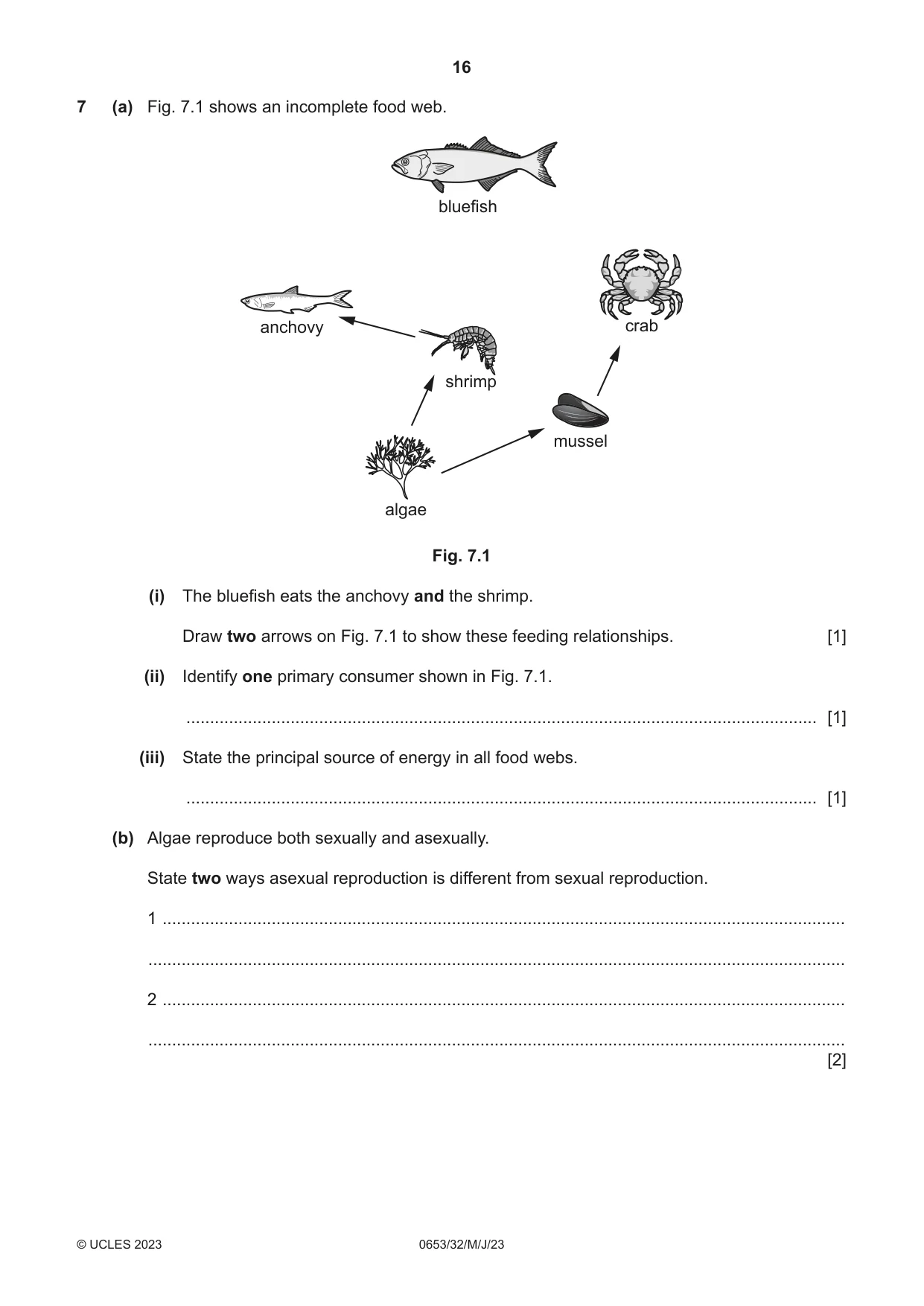 Cambridge IGCSE Science - Combined 0653 2023 May/June Paper 3 · Variant 2 question paper, page 16 of 24
