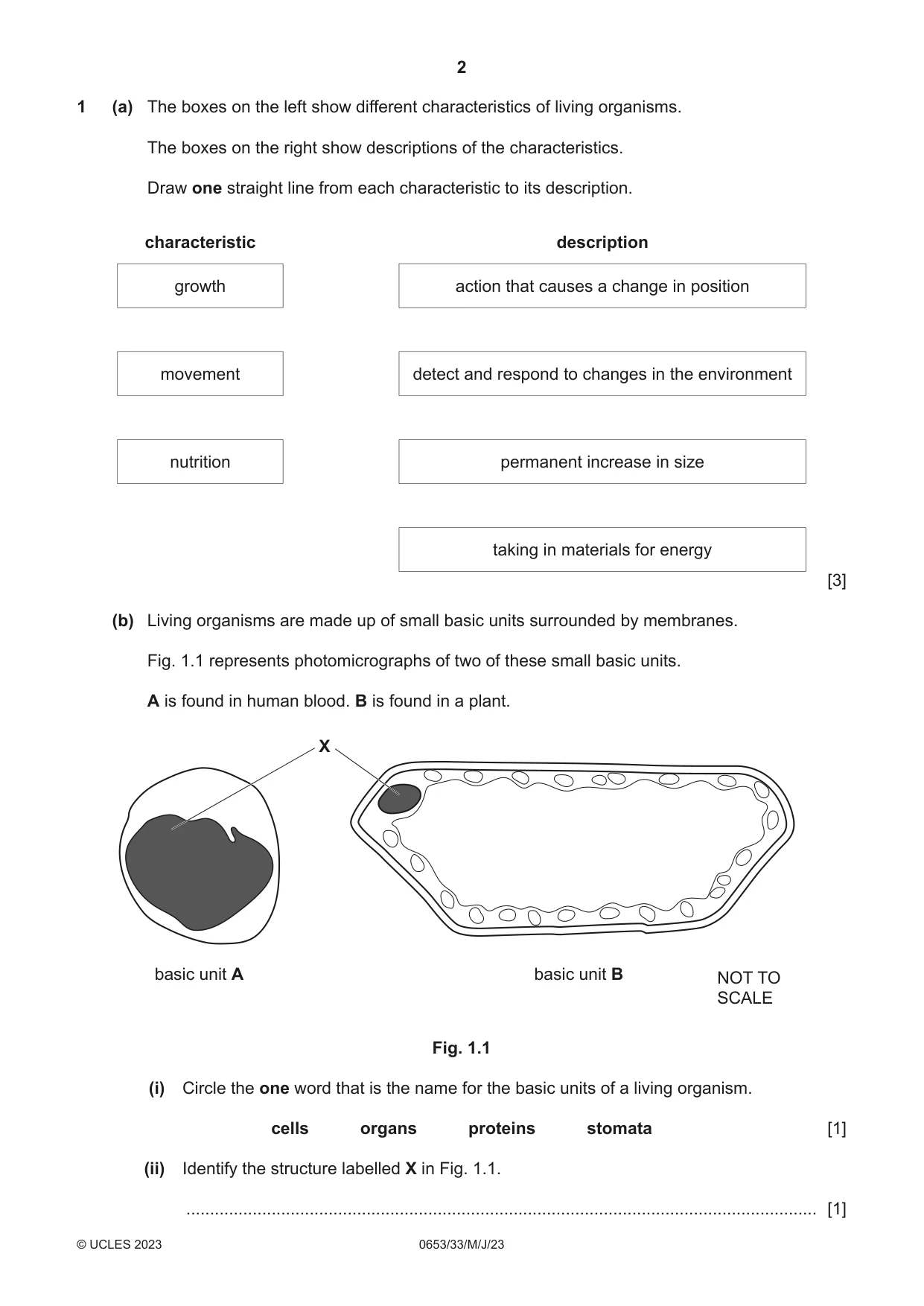 Cambridge IGCSE Science - Combined 0653 2023 May/June Paper 3 · Variant 3 question paper, page 2 of 20