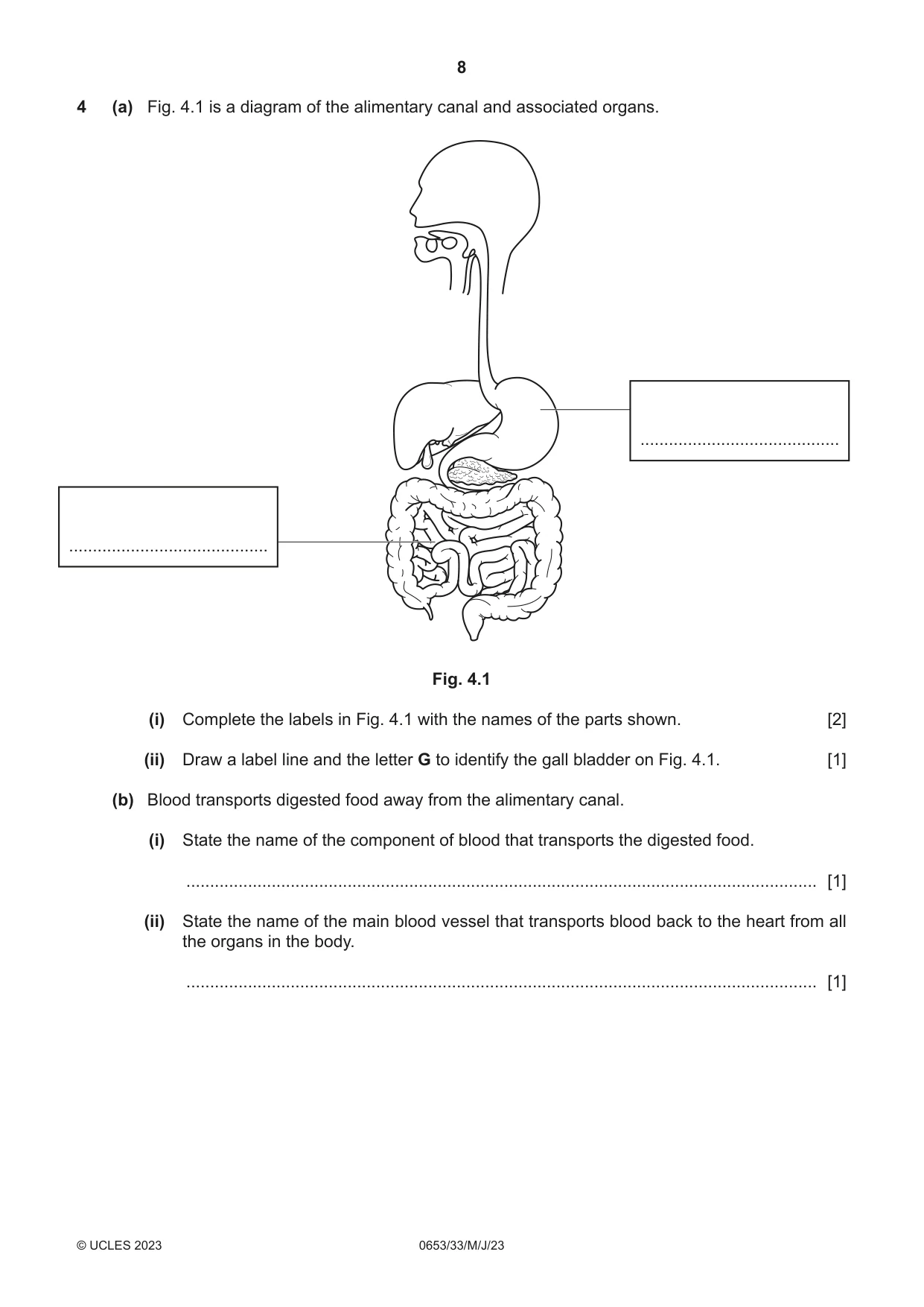 Cambridge IGCSE Science - Combined 0653 2023 May/June Paper 3 · Variant 3 question paper, page 8 of 20