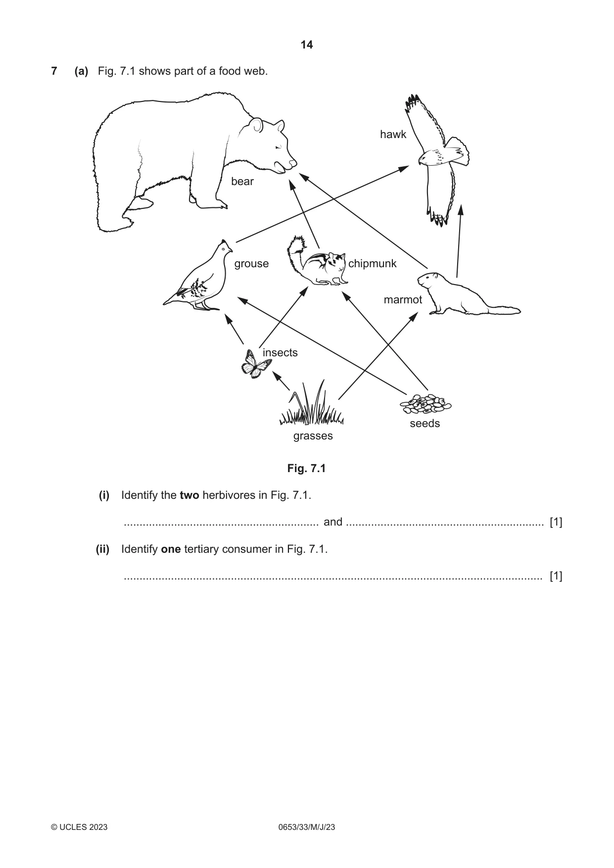 Cambridge IGCSE Science - Combined 0653 2023 May/June Paper 3 · Variant 3 question paper, page 14 of 20