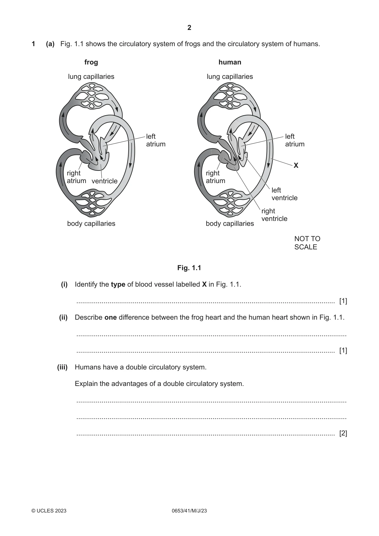 Cambridge IGCSE Science - Combined 0653 2023 May/June Paper 4 · Variant 1 question paper, page 2 of 24