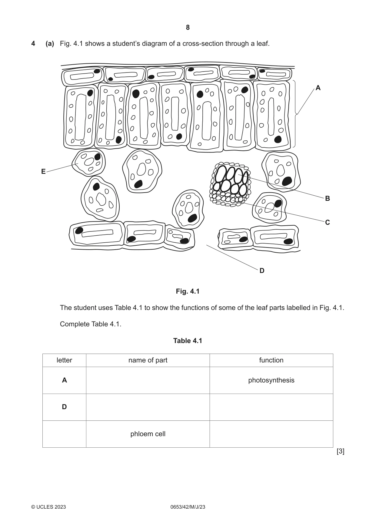 Cambridge IGCSE Science - Combined 0653 2023 May/June Paper 4 · Variant 2 question paper, page 8 of 24