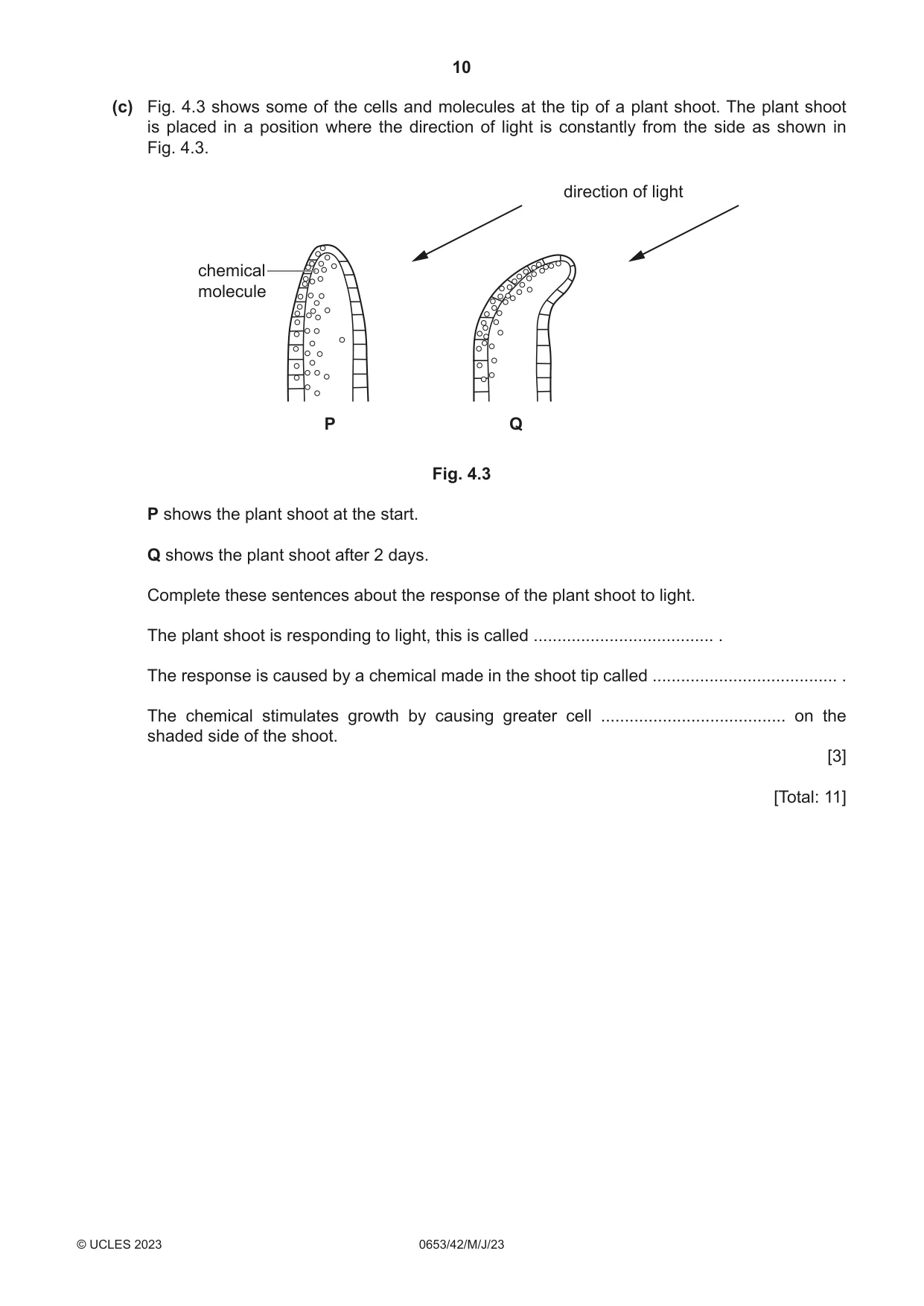 Cambridge IGCSE Science - Combined 0653 2023 May/June Paper 4 · Variant 2 question paper, page 10 of 24