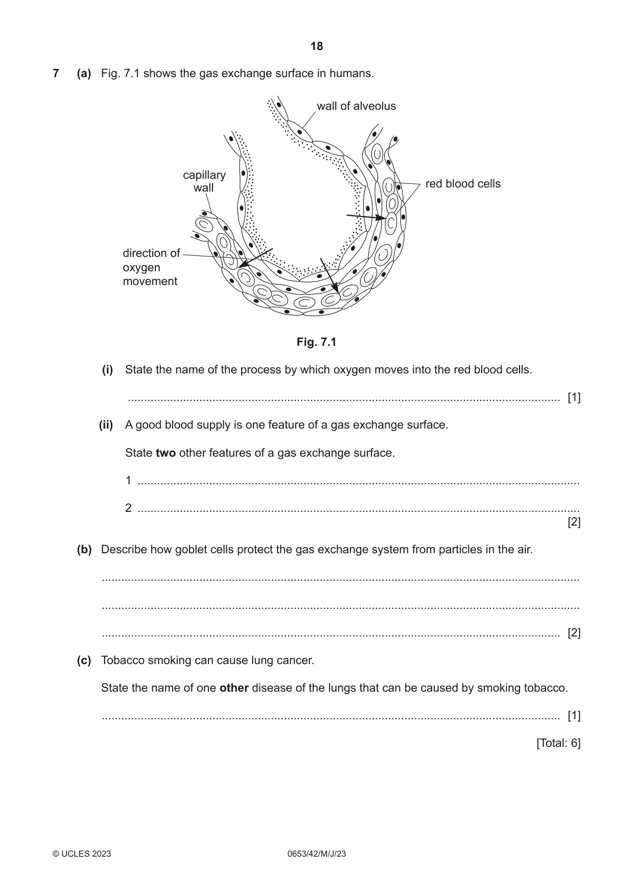 Cambridge IGCSE Science - Combined 0653 2023 May/June Paper 4 · Variant 2 question paper, page 18 of 24