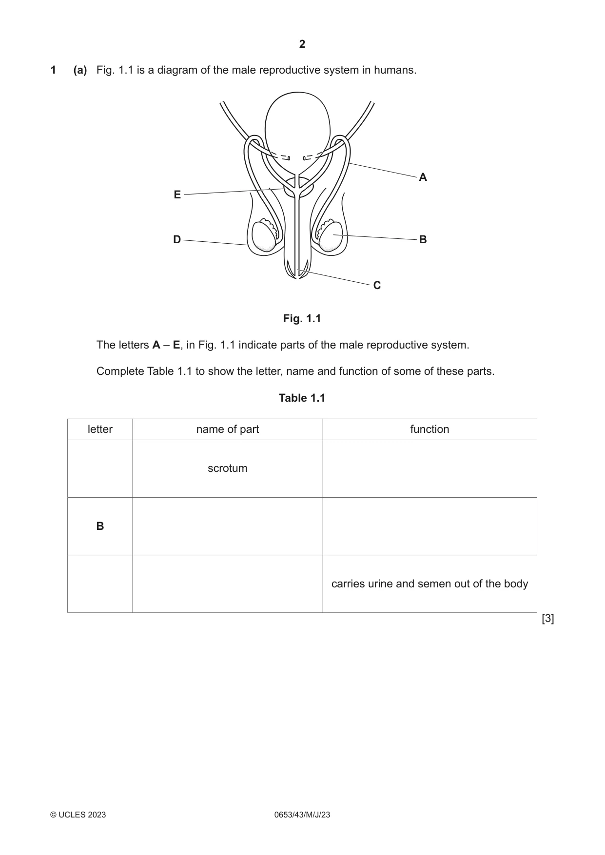 Cambridge IGCSE Science - Combined 0653 2023 May/June Paper 4 · Variant 3 question paper, page 2 of 20