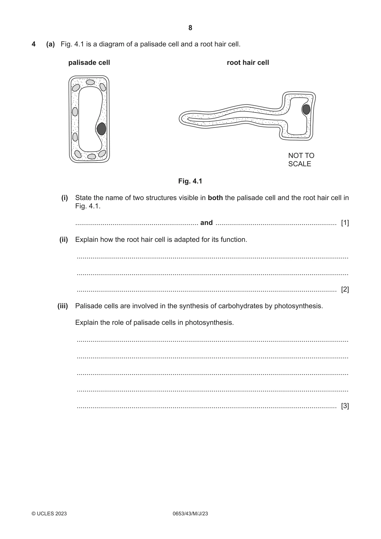 Cambridge IGCSE Science - Combined 0653 2023 May/June Paper 4 · Variant 3 question paper, page 8 of 20