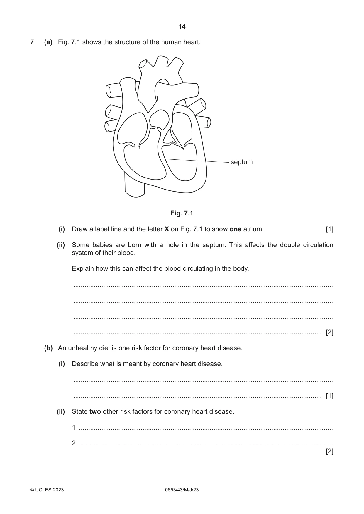 Cambridge IGCSE Science - Combined 0653 2023 May/June Paper 4 · Variant 3 question paper, page 14 of 20