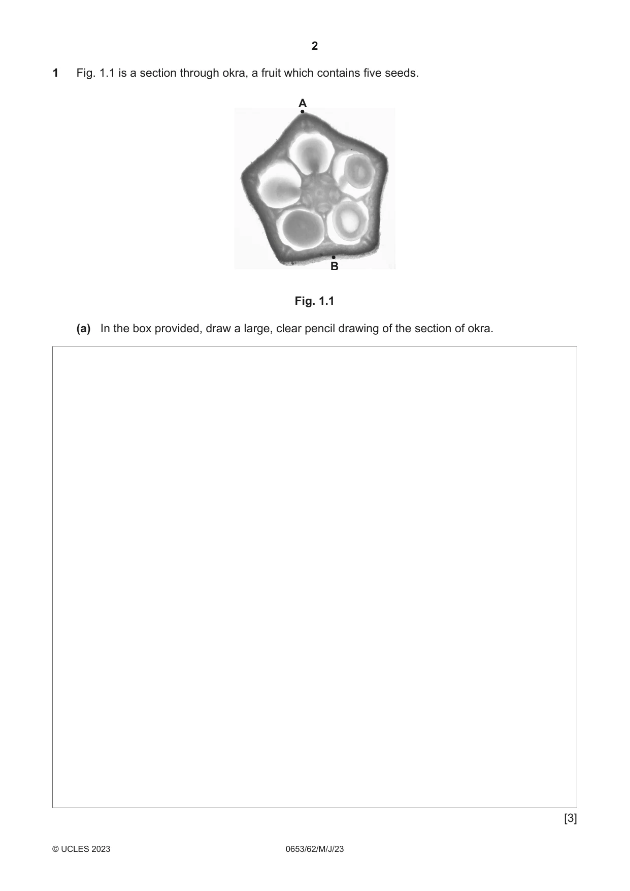 Cambridge IGCSE Science - Combined 0653 2023 May/June Paper 6 · Variant 2 question paper, page 2 of 12