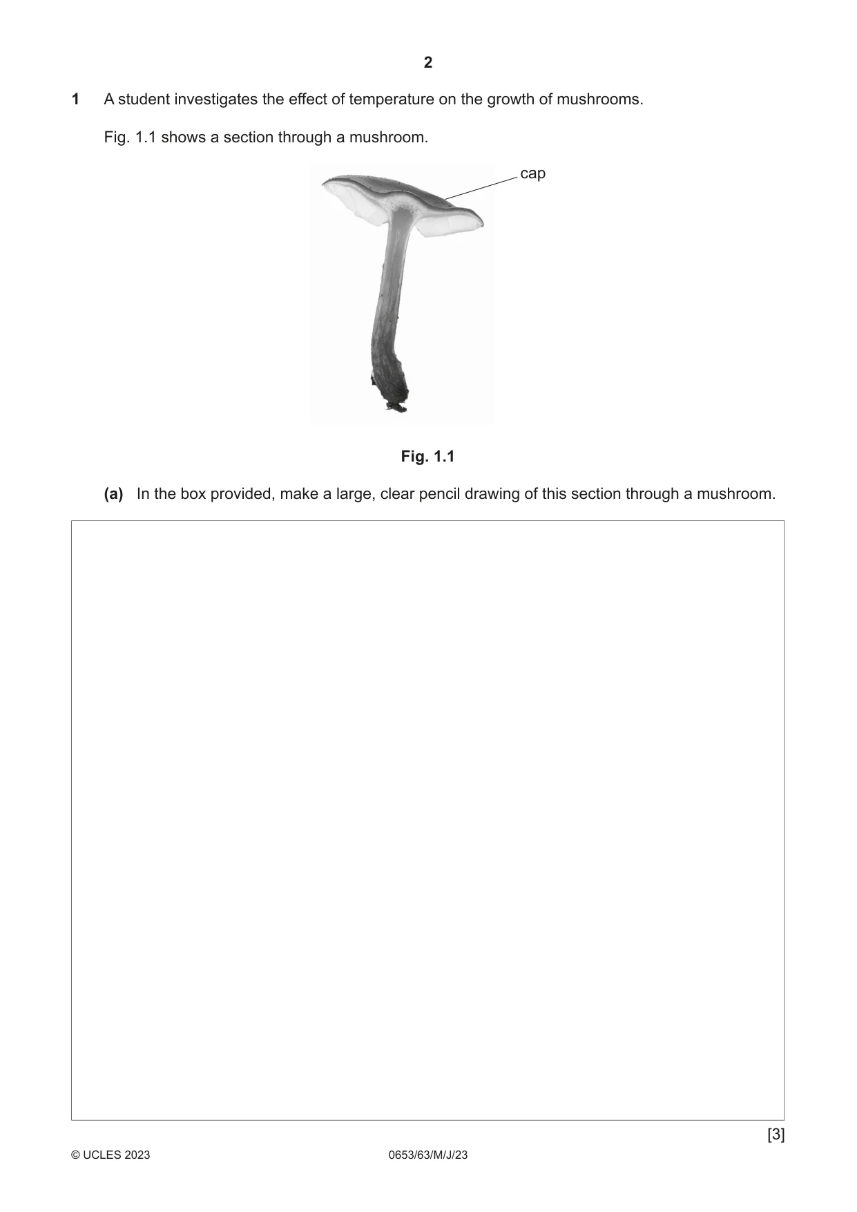 Cambridge IGCSE Science - Combined 0653 2023 May/June Paper 6 · Variant 3 question paper, page 2 of 16