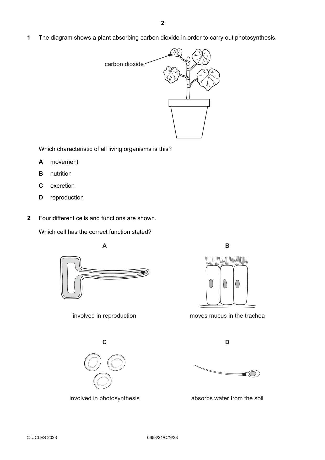 Cambridge IGCSE Science - Combined 0653 2023 Oct/Nov Paper 2 · Variant 1 question paper, page 2 of 16