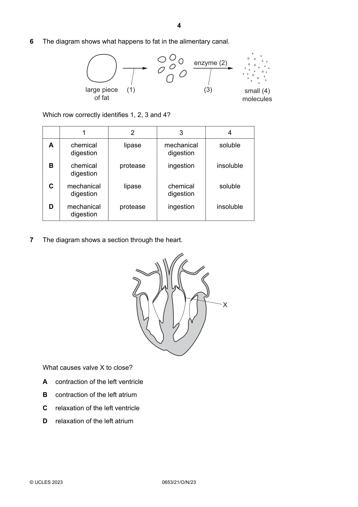Cambridge IGCSE Science - Combined 0653 2023 Oct/Nov Paper 2 · Variant 1 question paper, page 4 of 16