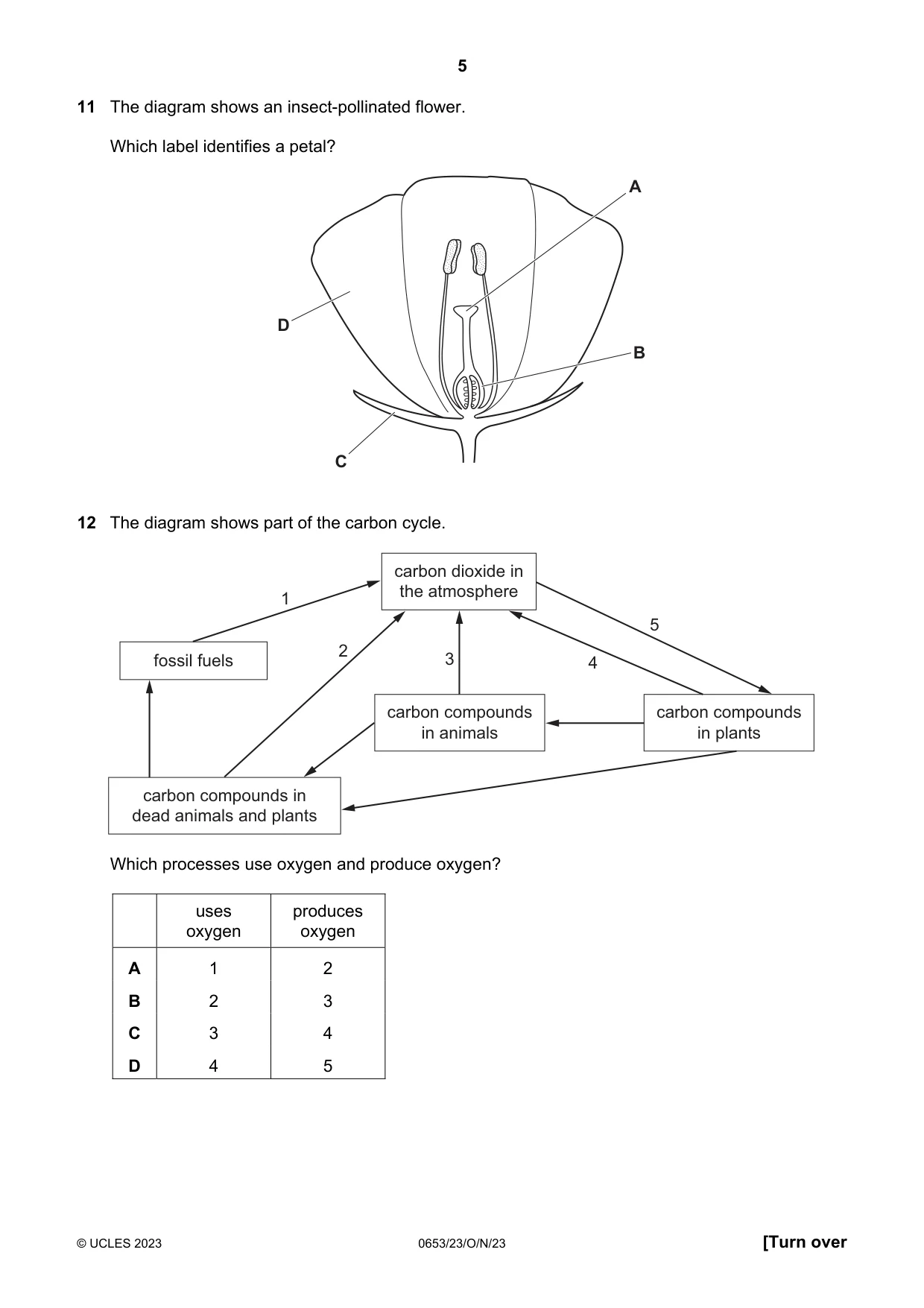 Cambridge IGCSE Science - Combined 0653 2023 Oct/Nov Paper 2 · Variant 3 question paper, page 5 of 16