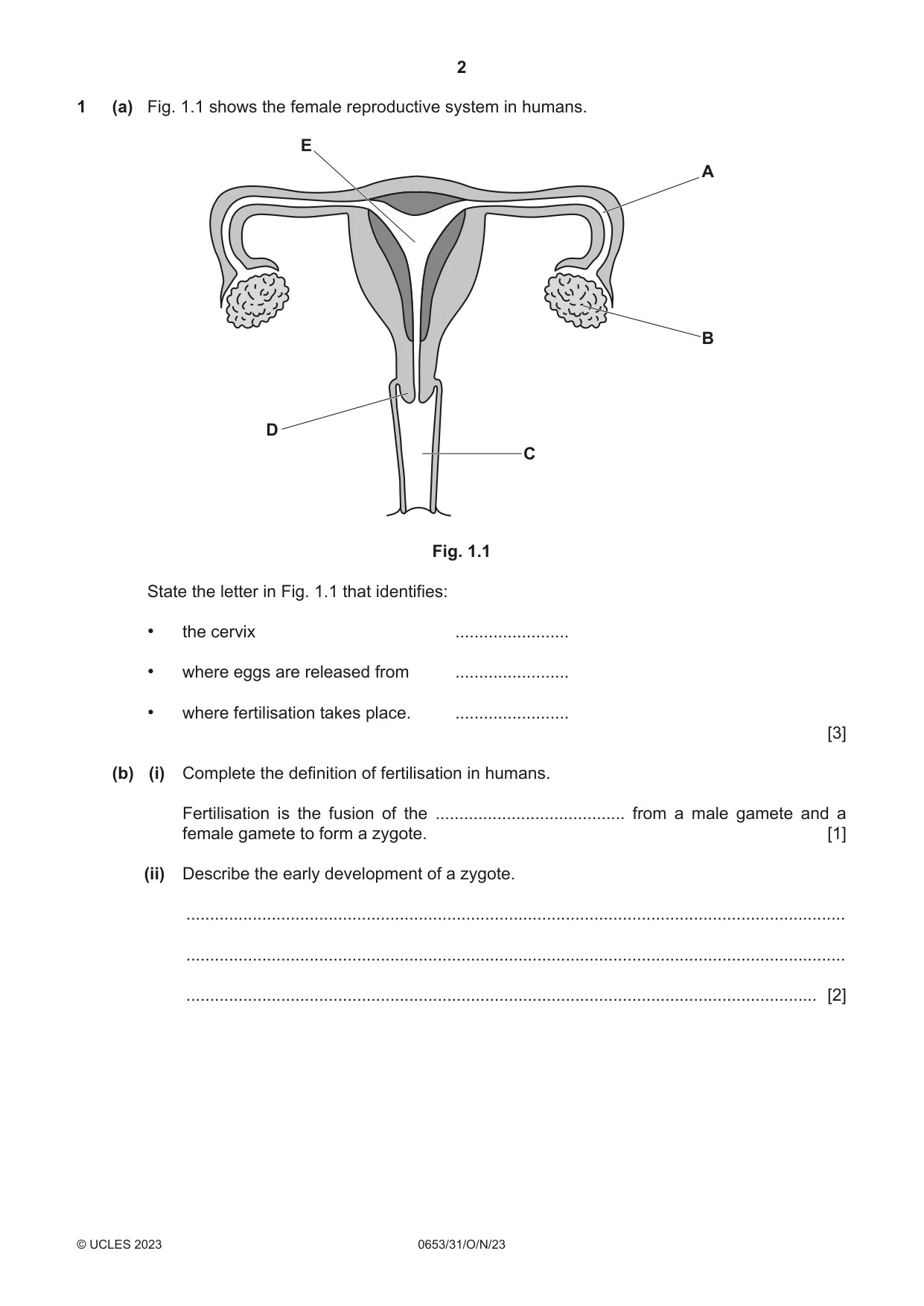 Cambridge IGCSE Science - Combined 0653 2023 Oct/Nov Paper 3 · Variant 1 question paper, page 2 of 20